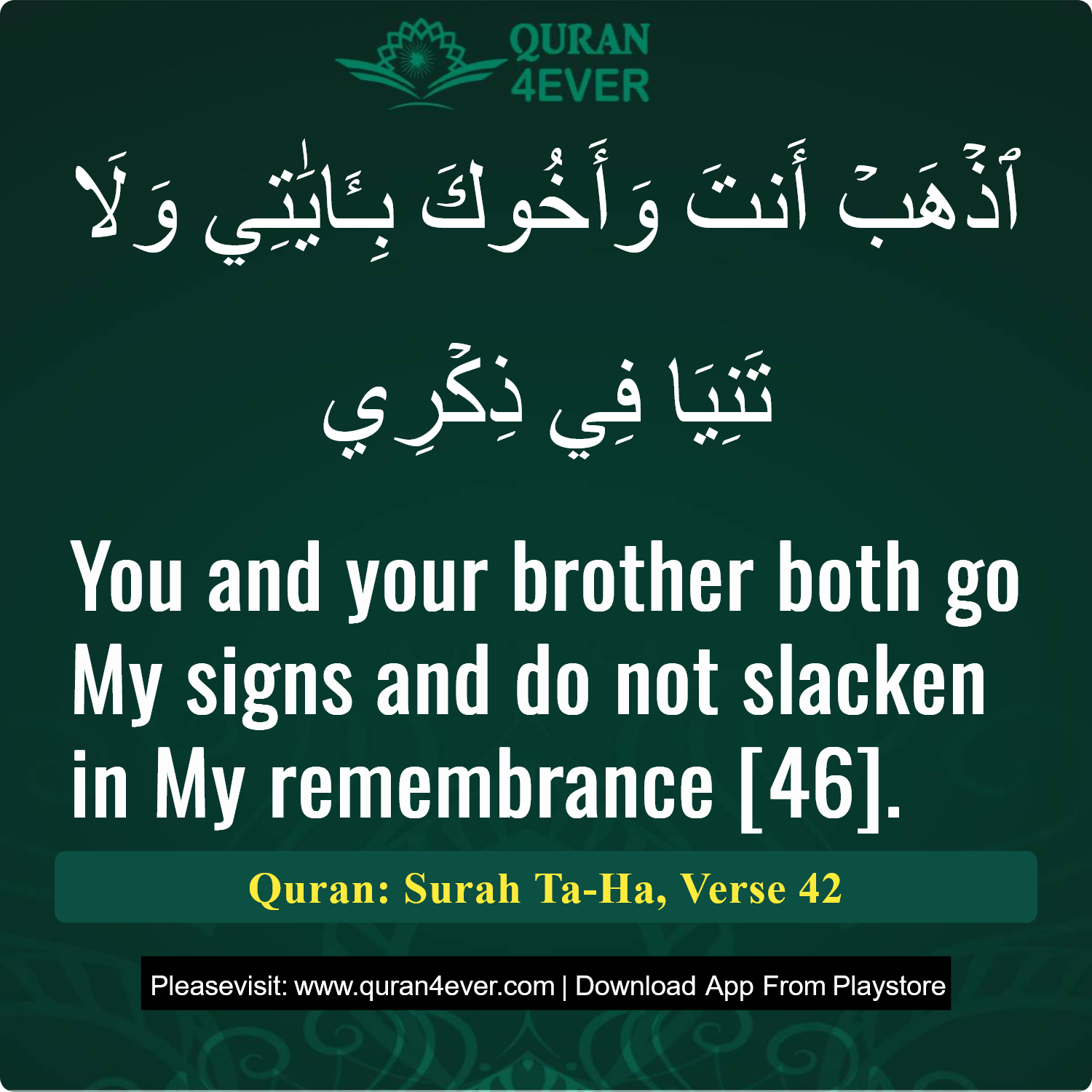 Surah 20, Ayah 42 - Quran Image