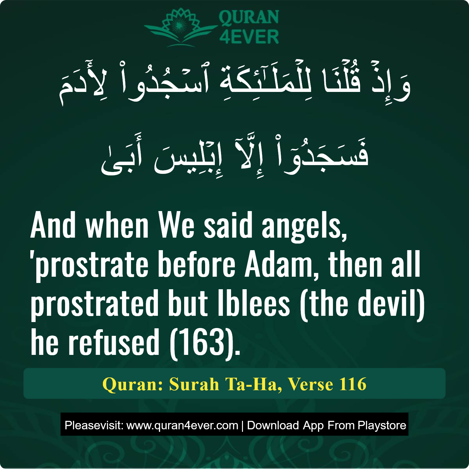 Surah 20, Ayah 116 - Quran Image