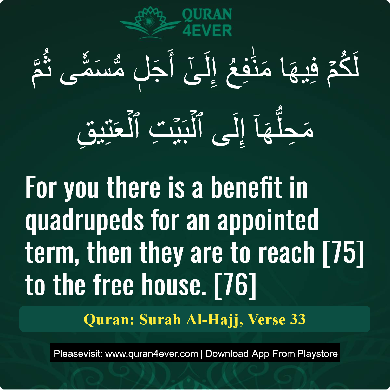 Surah 22, Ayah 33 - Quran Image