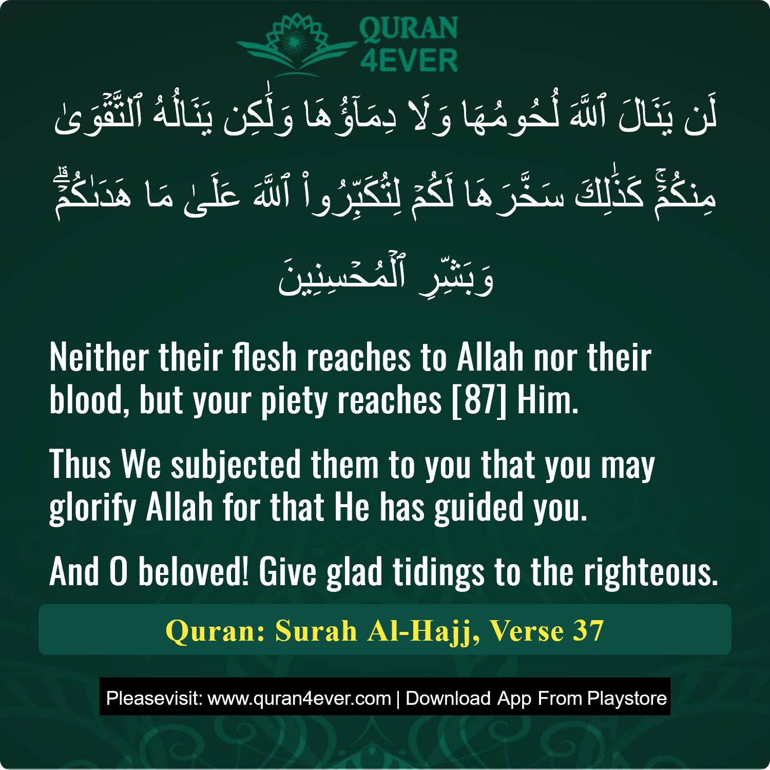 Surah 22, Ayah 37 - Quran Image