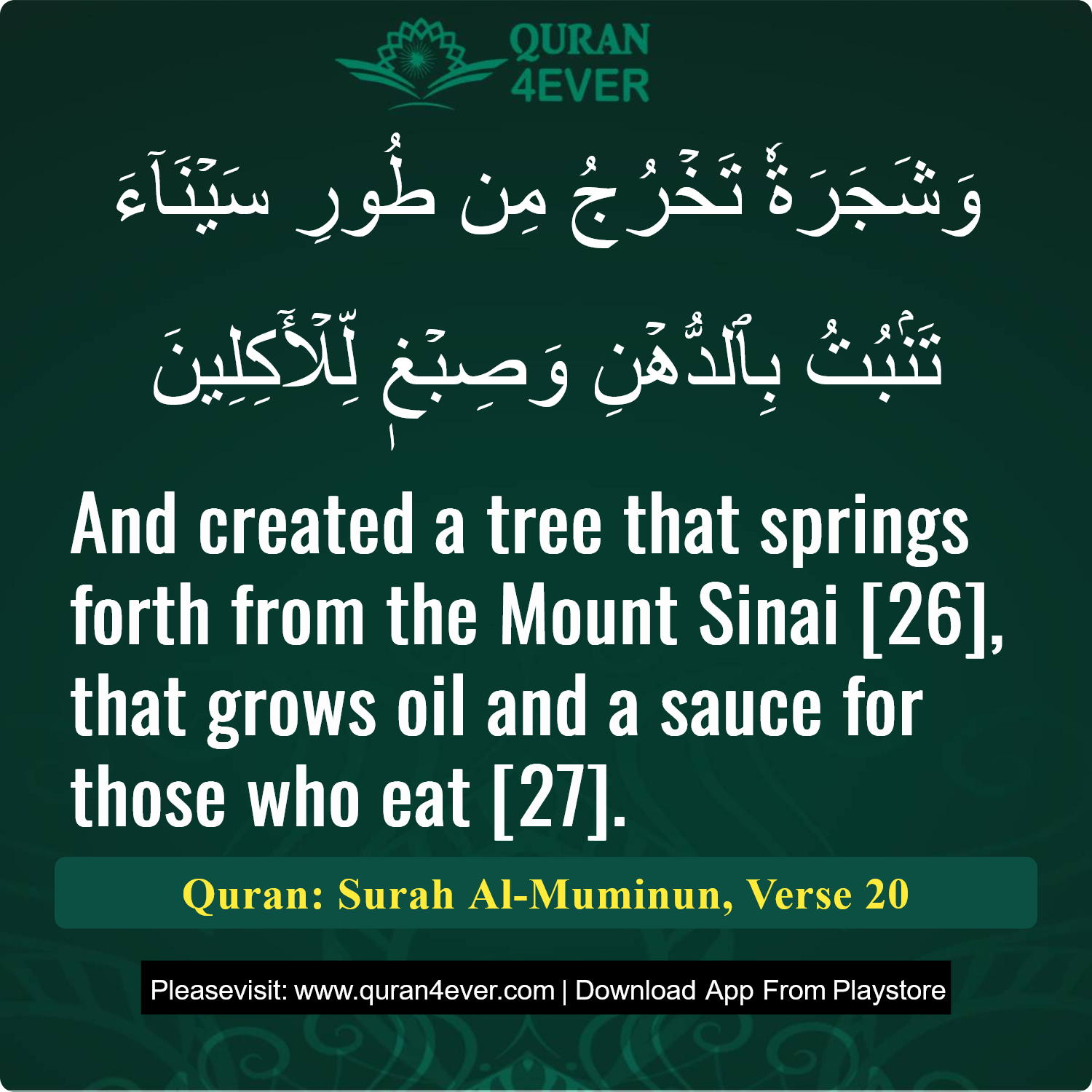 Surah 23, Ayah 20 - Quran Image