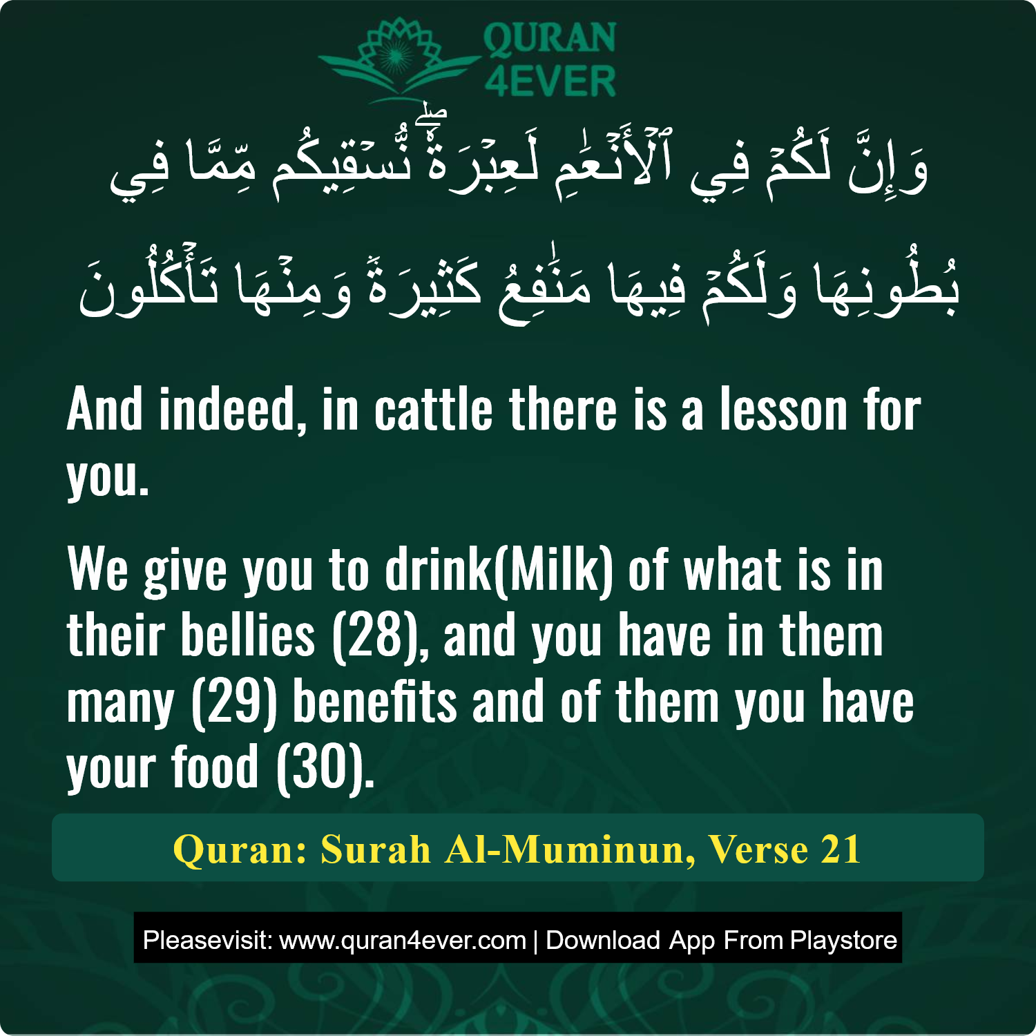 Surah 23, Ayah 21 - Quran Image