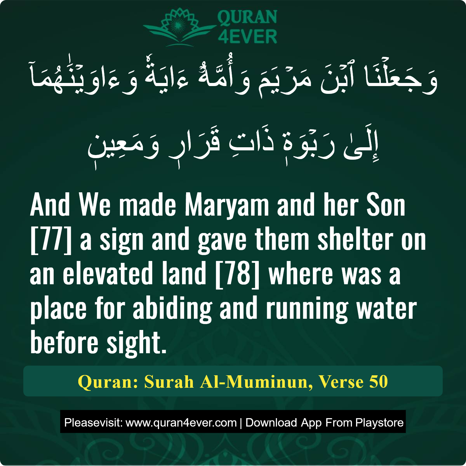 Surah 23, Ayah 50 - Quran Image