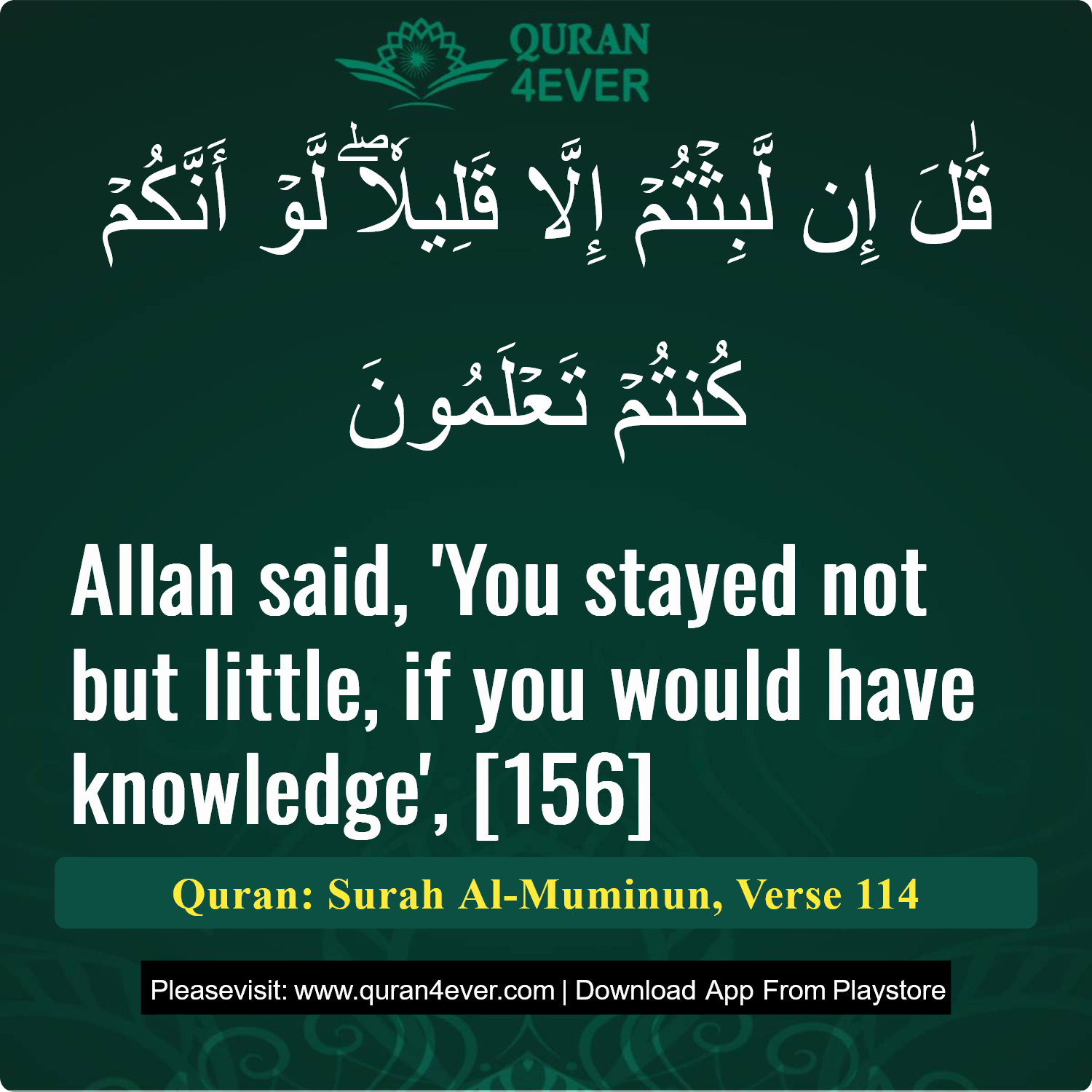 Surah 23, Ayah 114 - Quran Image