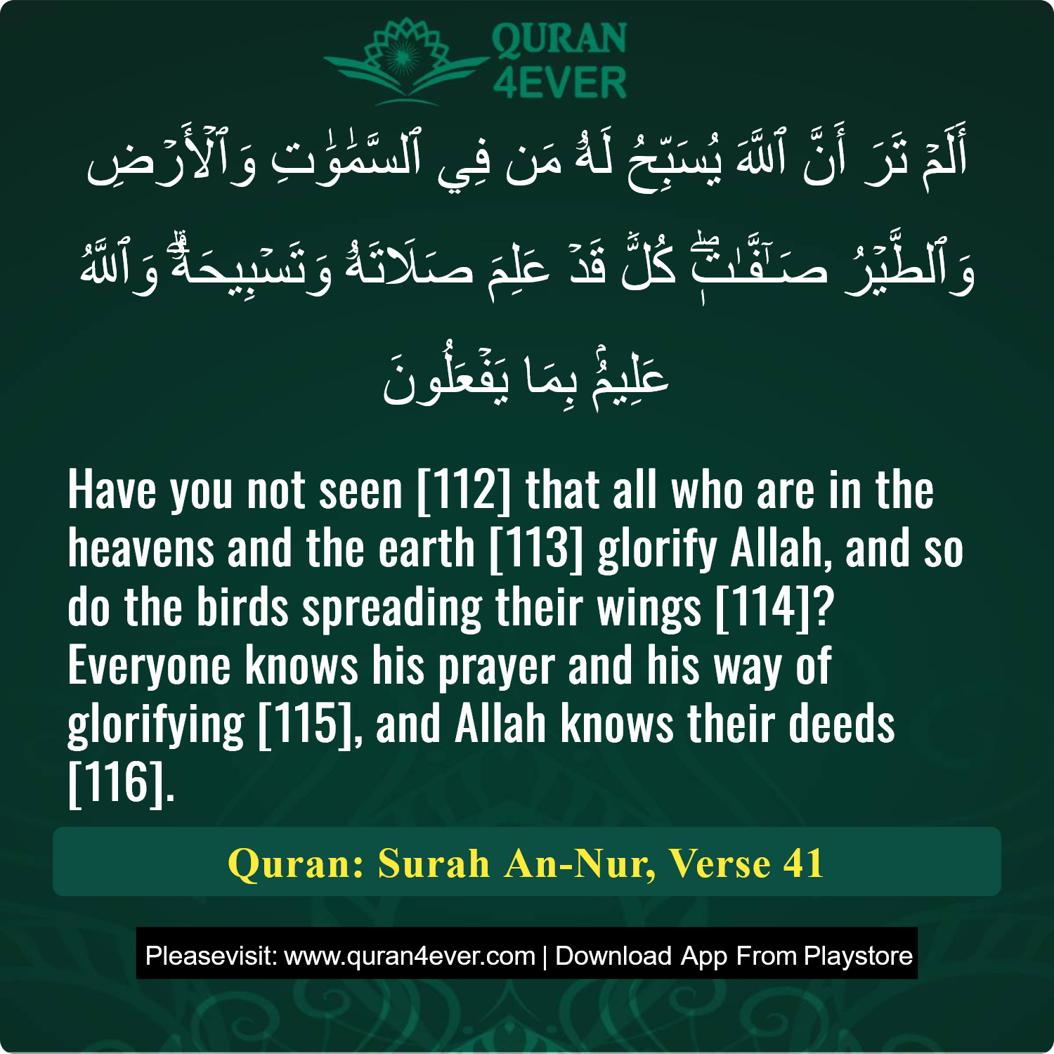 Surah 24, Ayah 41 - Quran Image