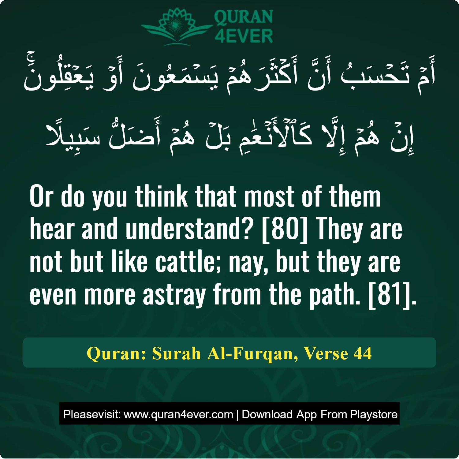 Surah 25, Ayah 44 - Quran Image
