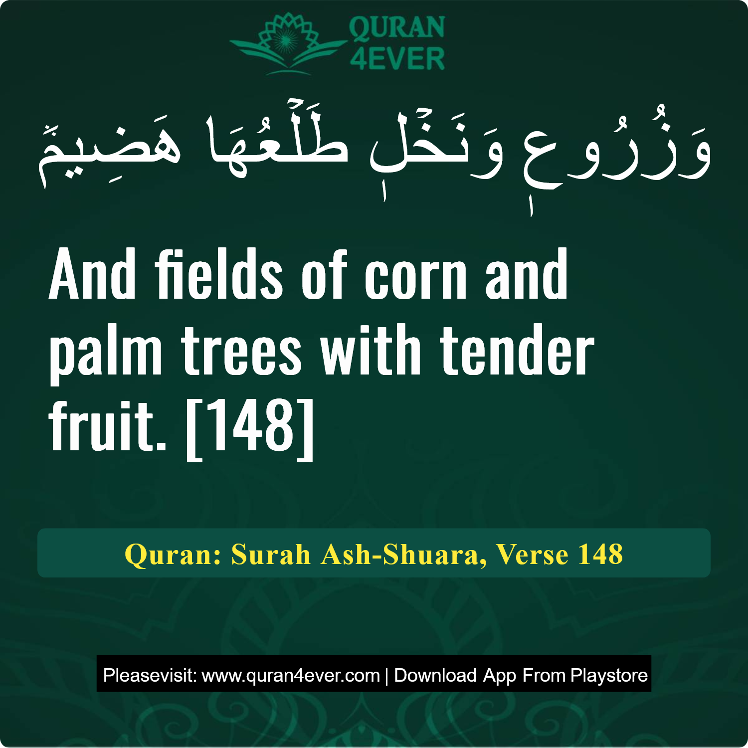 Surah 26, Ayah 148 - Quran Image