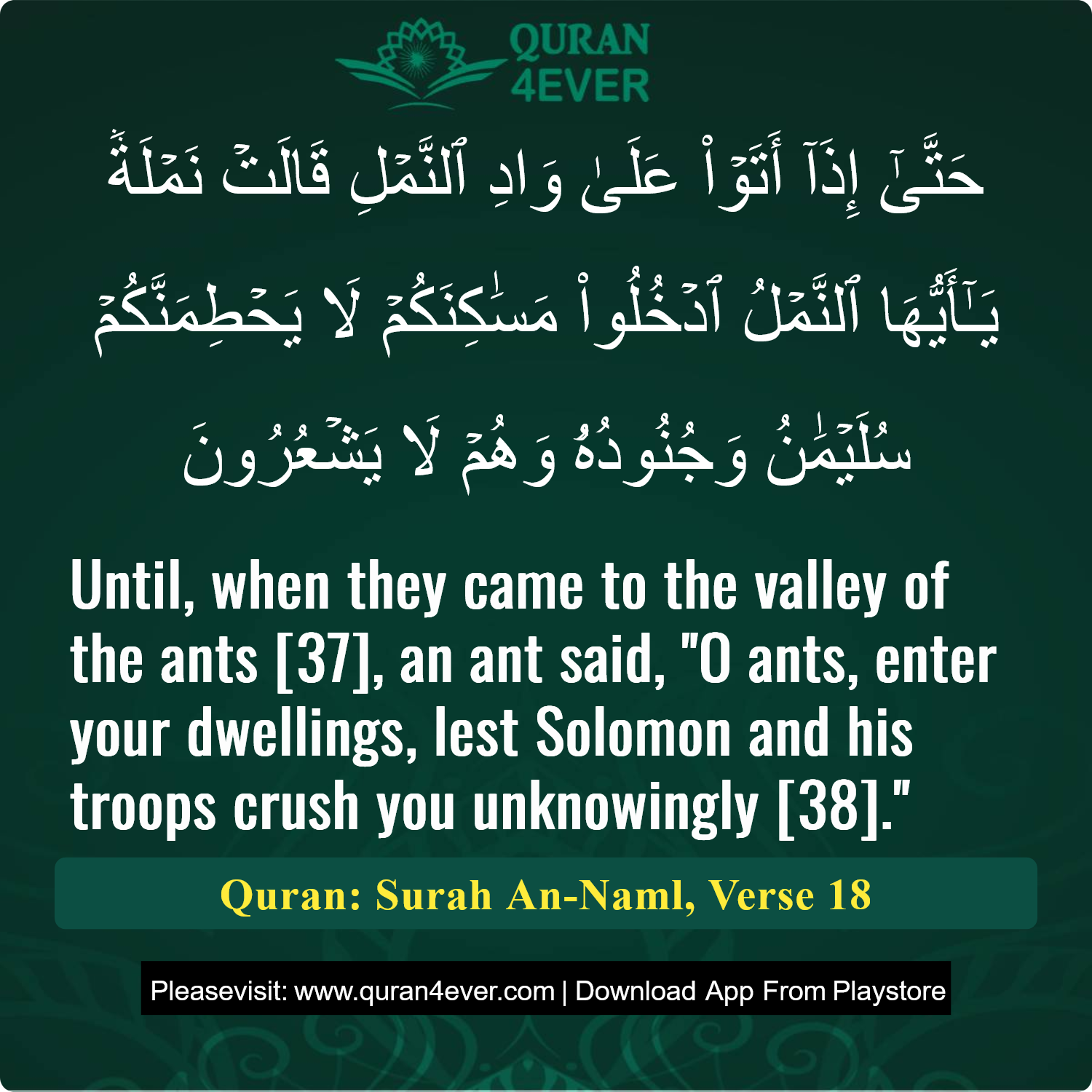 Surah 27, Ayah 18 - Quran Image