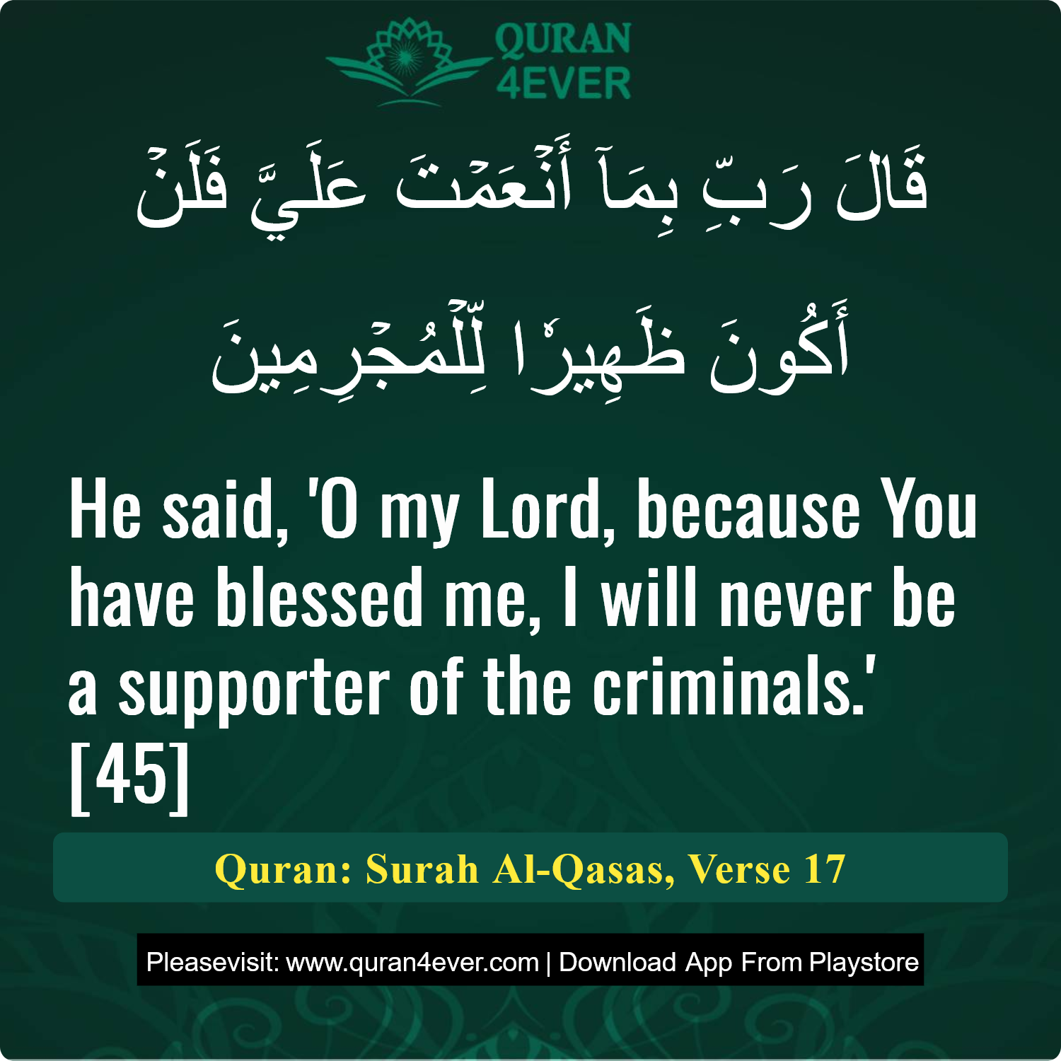Surah 28, Ayah 17 - Quran Image