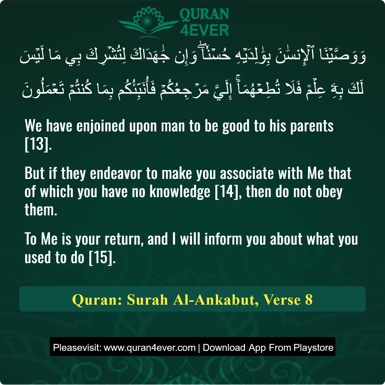 Surah 29, Ayah 8 - Quran Image