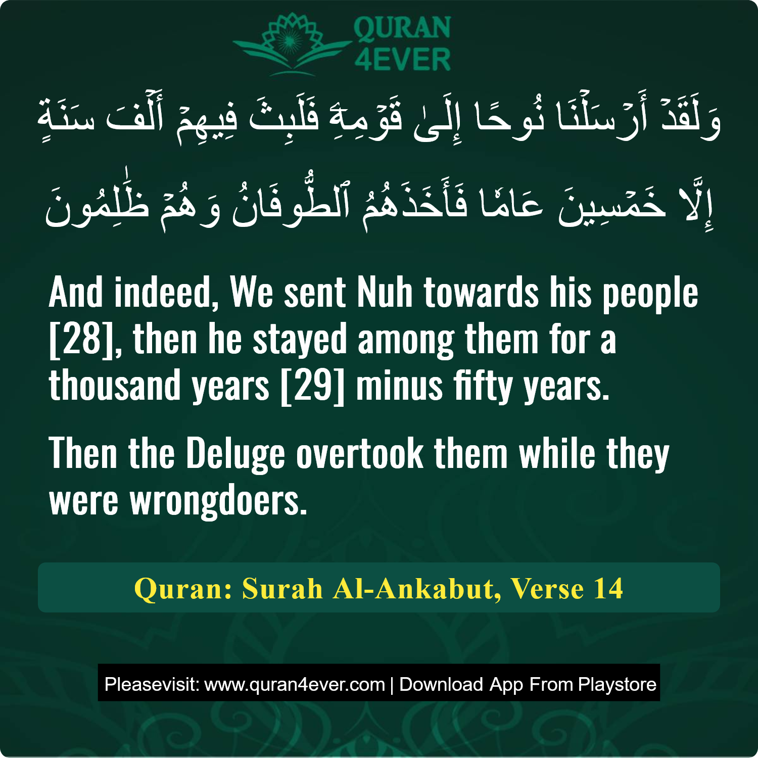 Surah 29, Ayah 14 - Quran Image