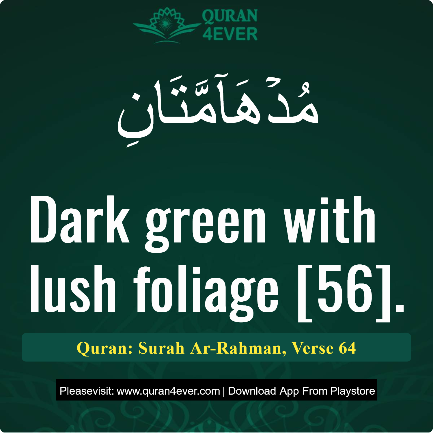 Surah 55, Ayah 64 - Quran Image