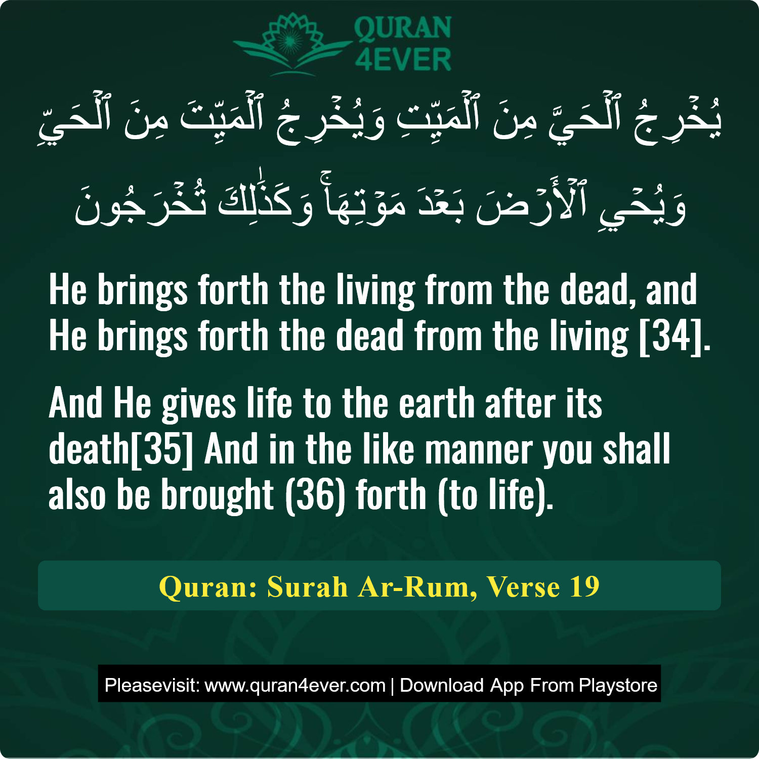 Surah 30, Ayah 19 - Quran Image