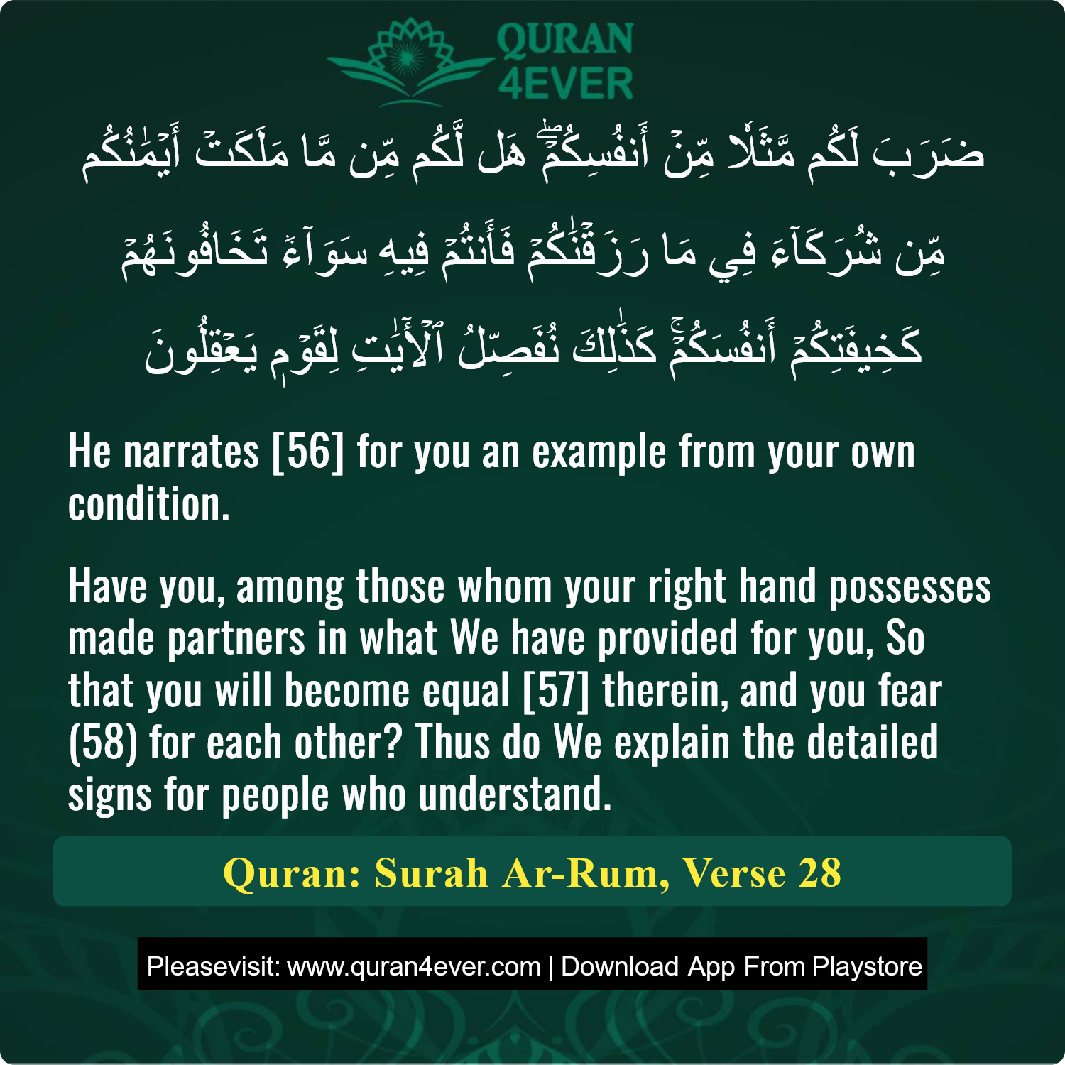 Surah 30, Ayah 28 - Quran Image