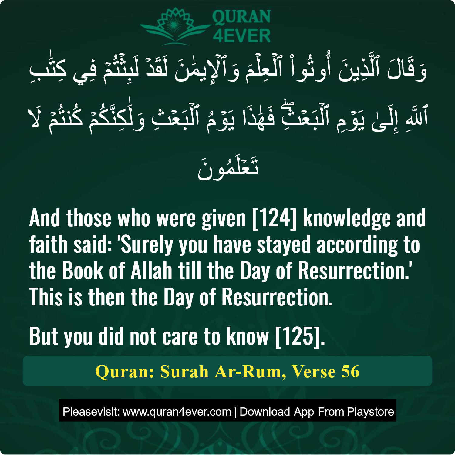 Surah 30, Ayah 56 - Quran Image