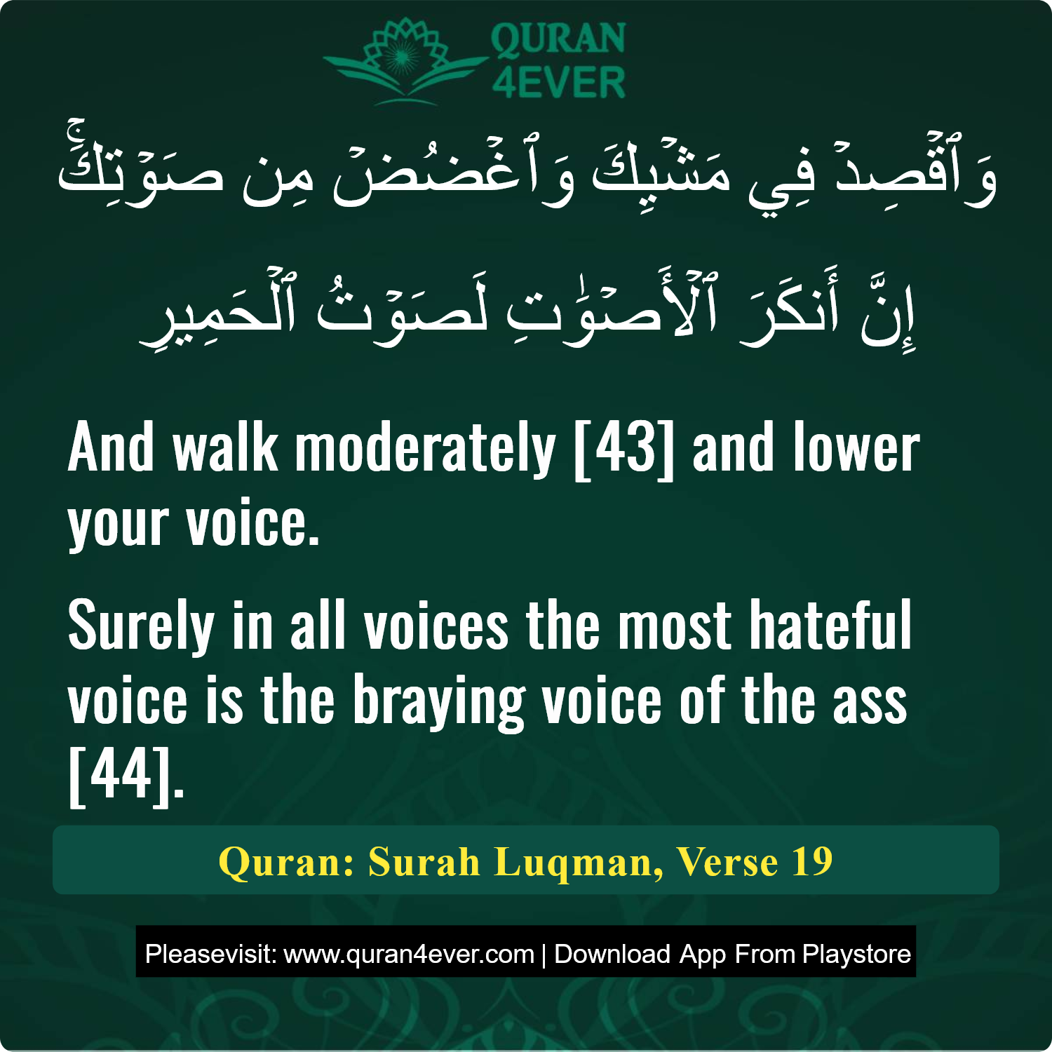 Surah 31, Ayah 19 - Quran Image