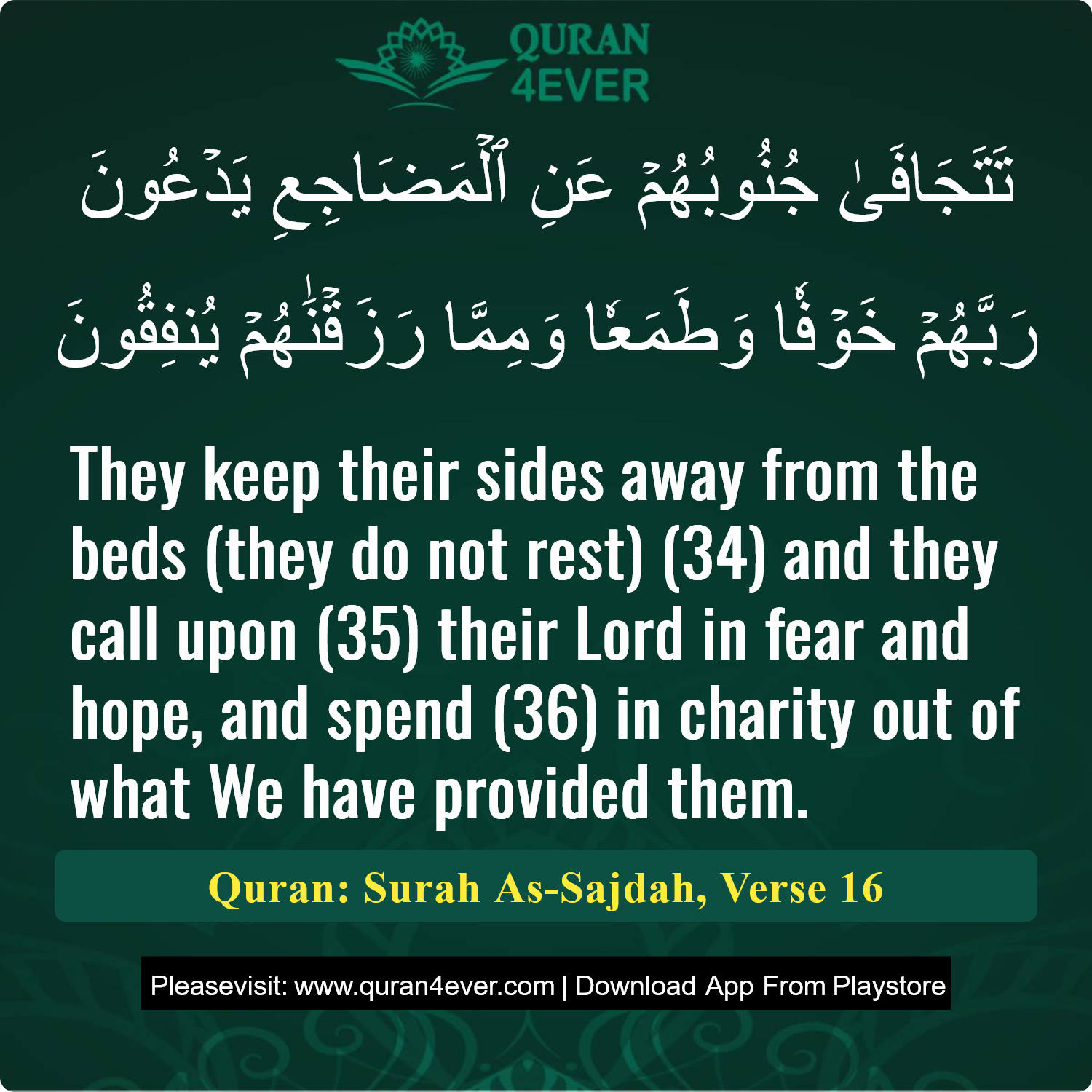 Surah 32, Ayah 16 - Quran Image