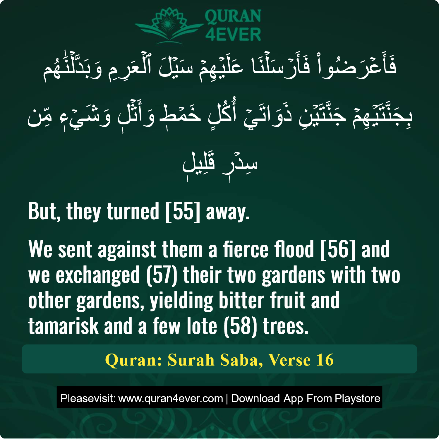 Surah 34, Ayah 16 - Quran Image