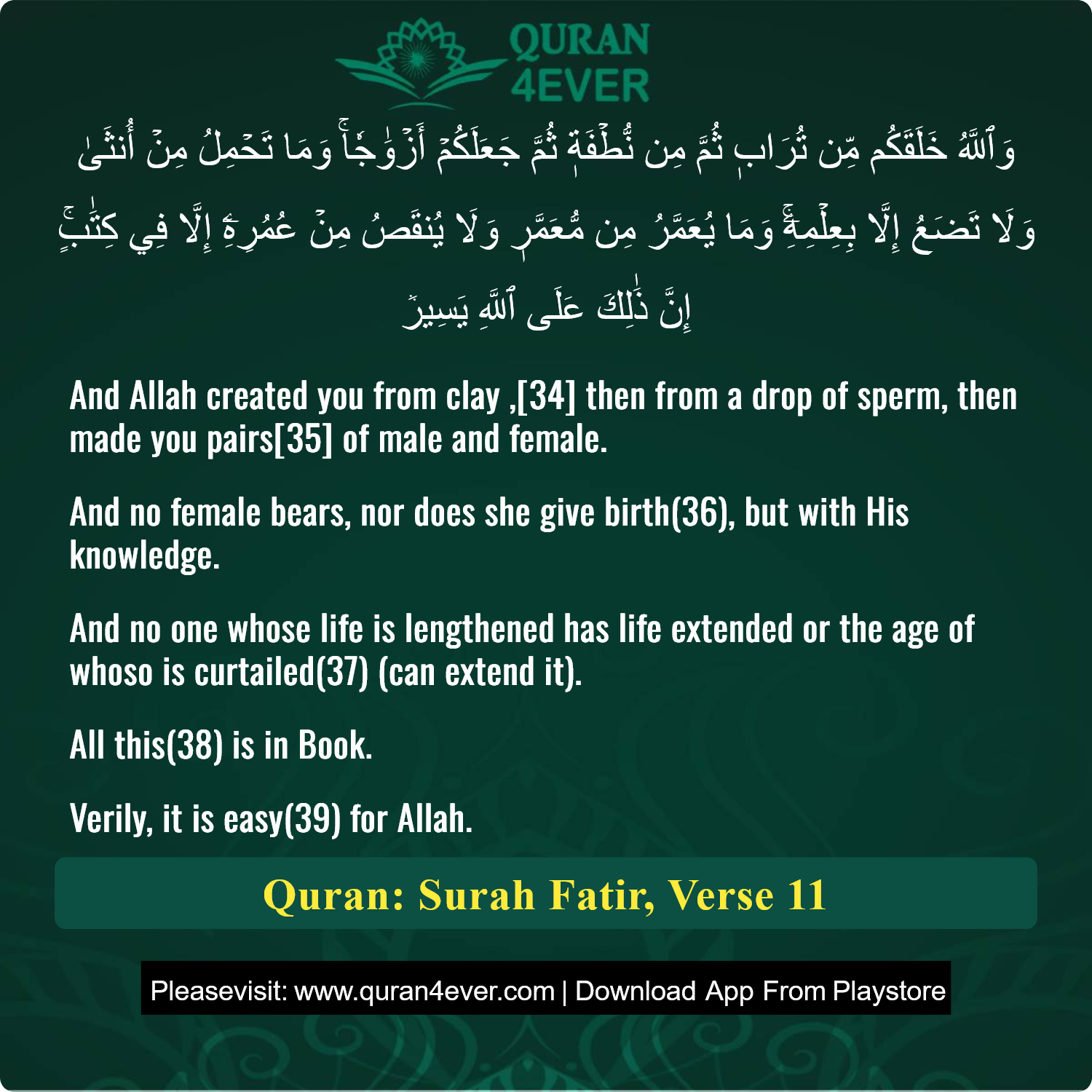 Surah 35, Ayah 11 - Quran Image