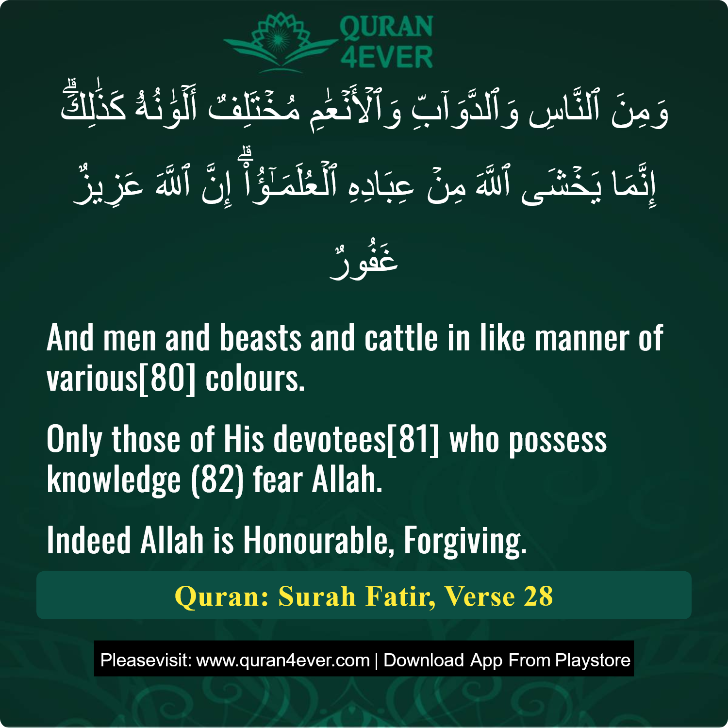 Surah 35, Ayah 28 - Quran Image