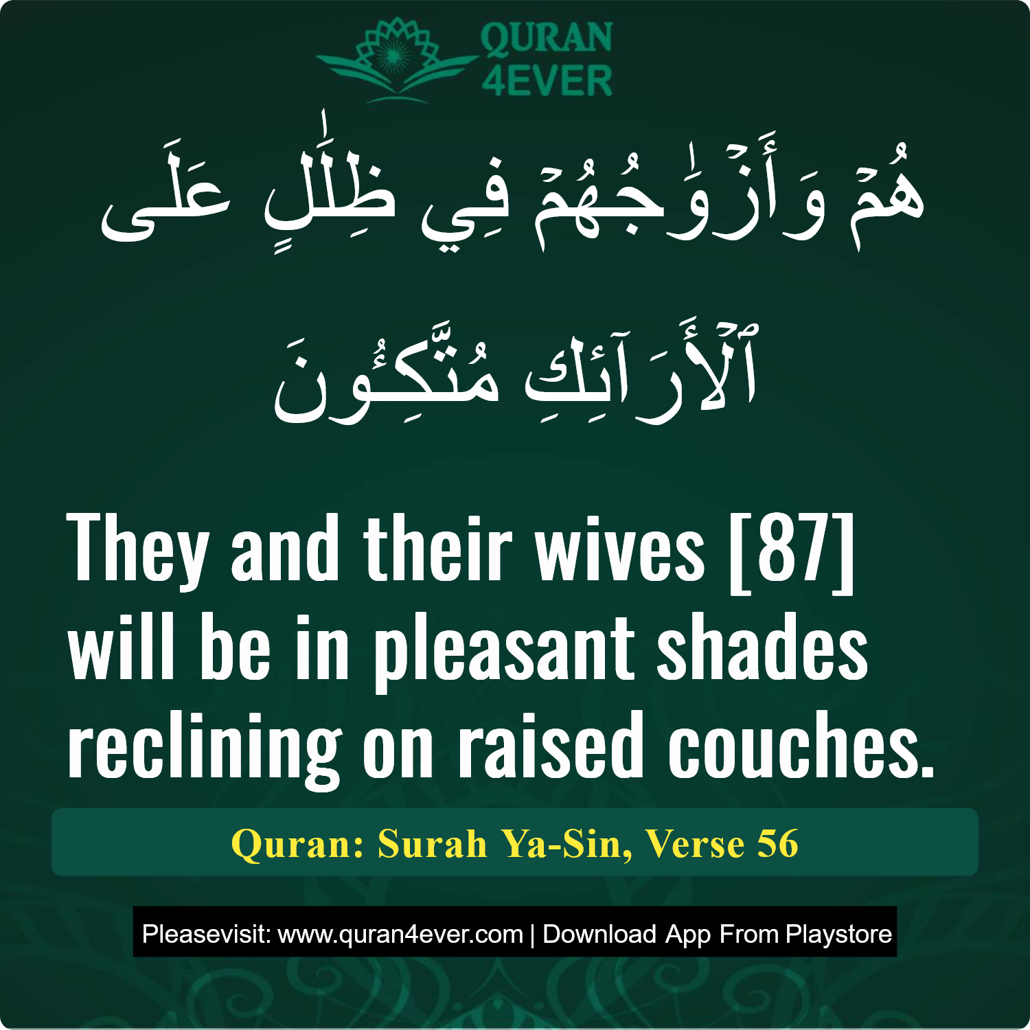 Surah 36, Ayah 56 - Quran Image