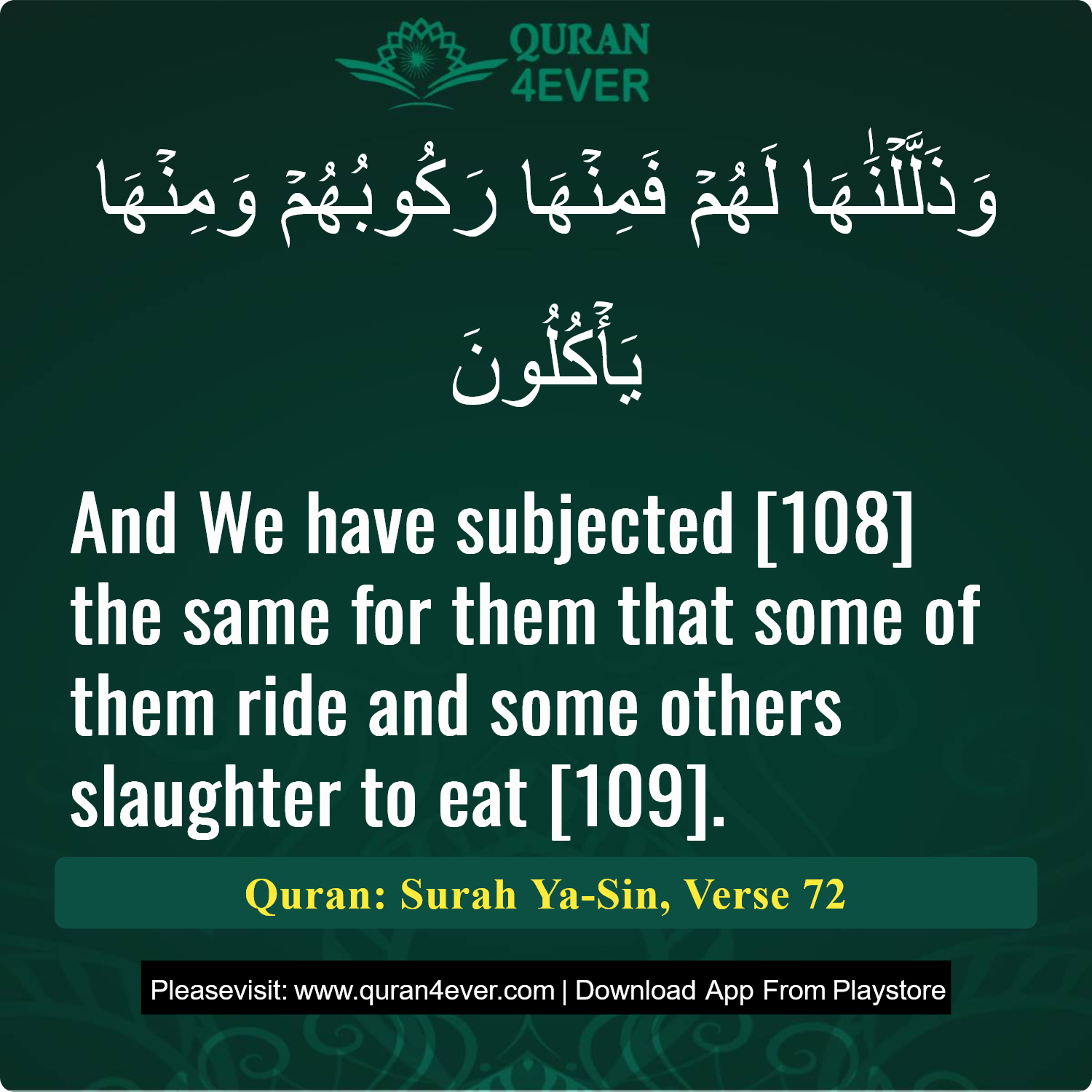 Surah 36, Ayah 72 - Quran Image