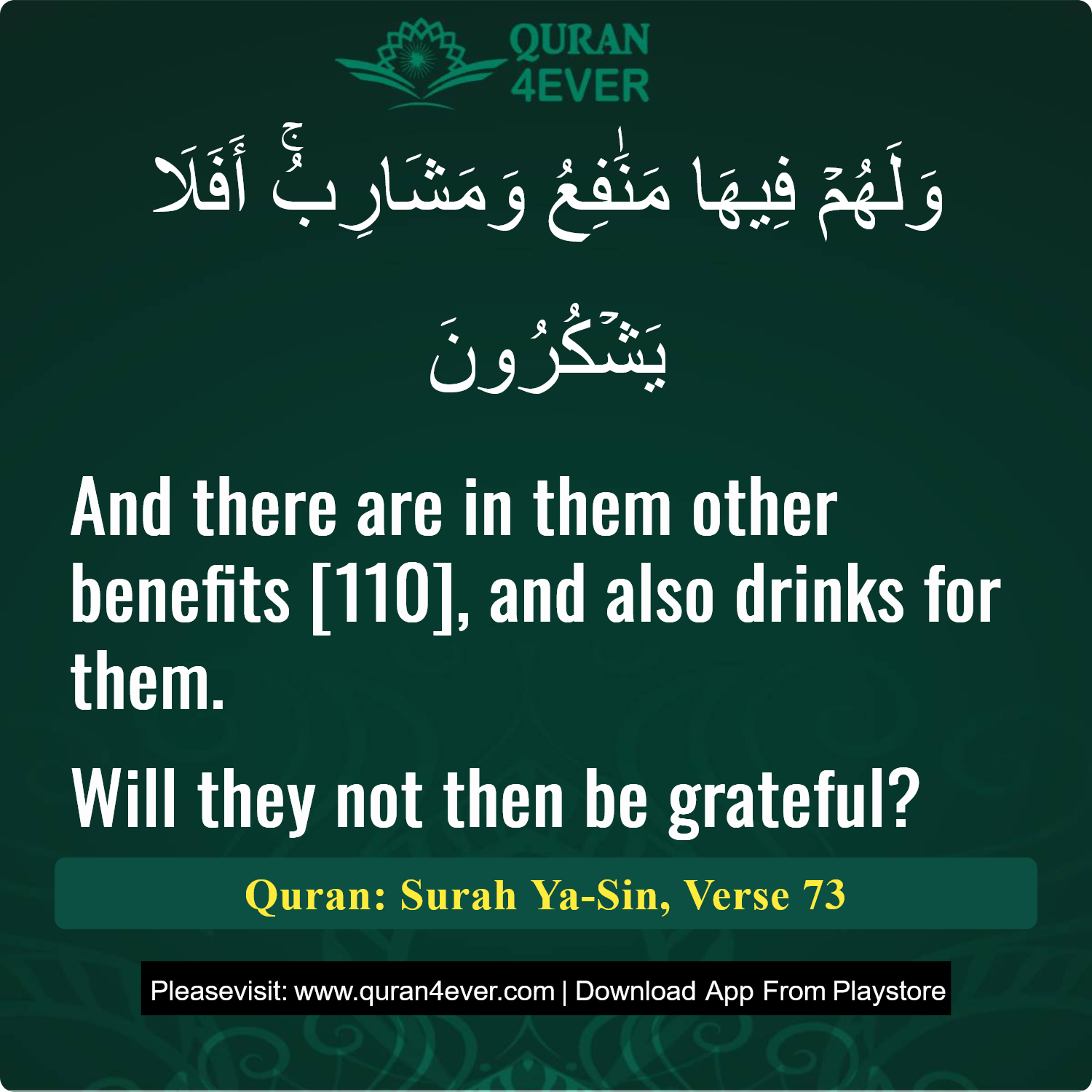 Surah 36, Ayah 73 - Quran Image