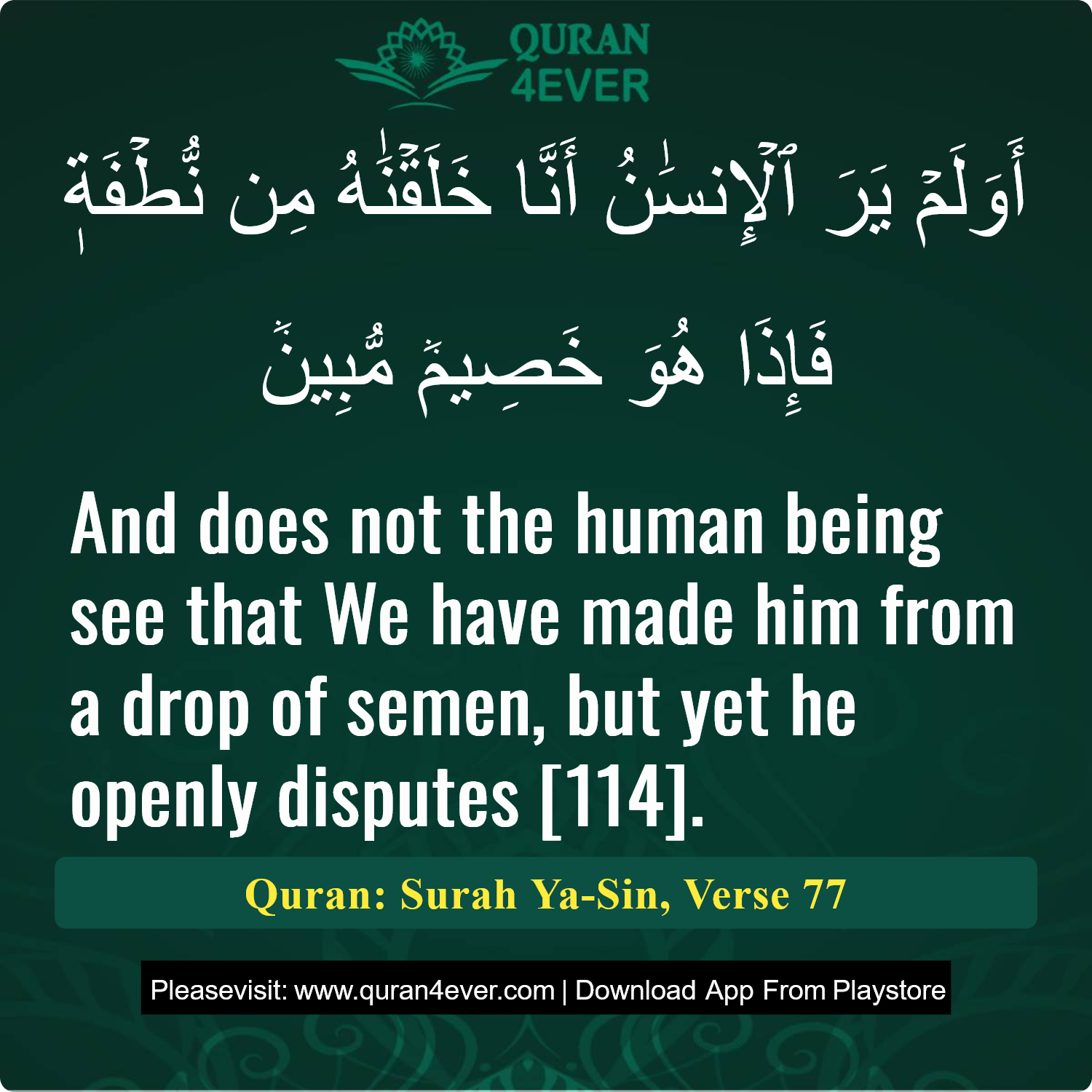 Surah 36, Ayah 77 - Quran Image