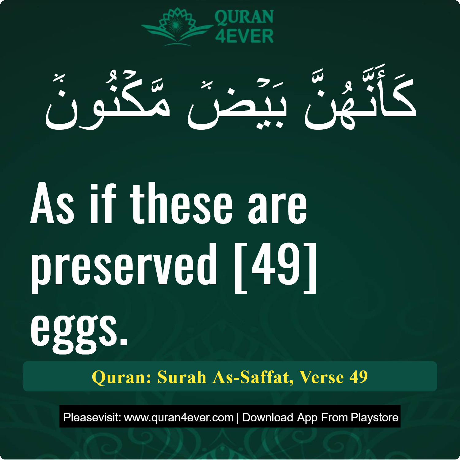 Surah 37, Ayah 49 - Quran Image