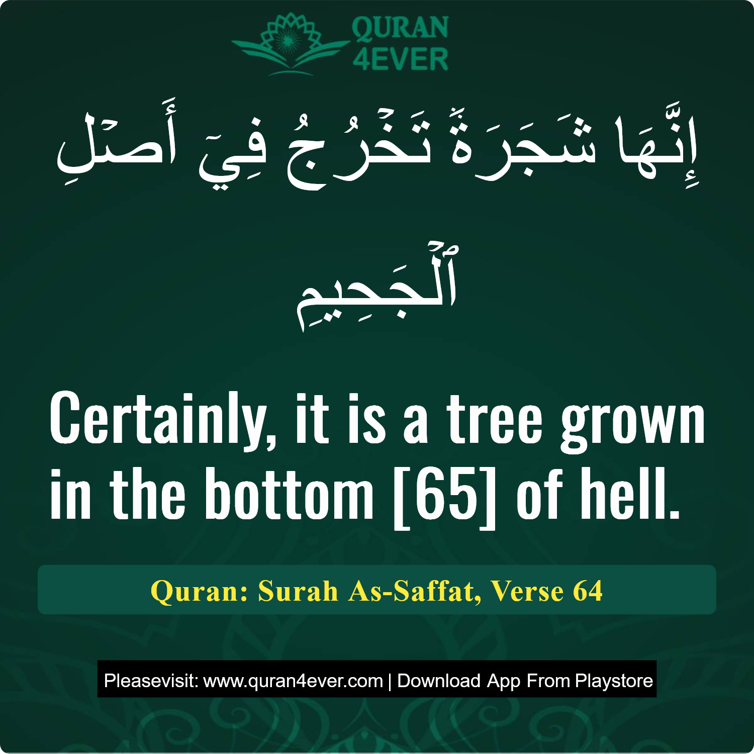 Surah 37, Ayah 64 - Quran Image
