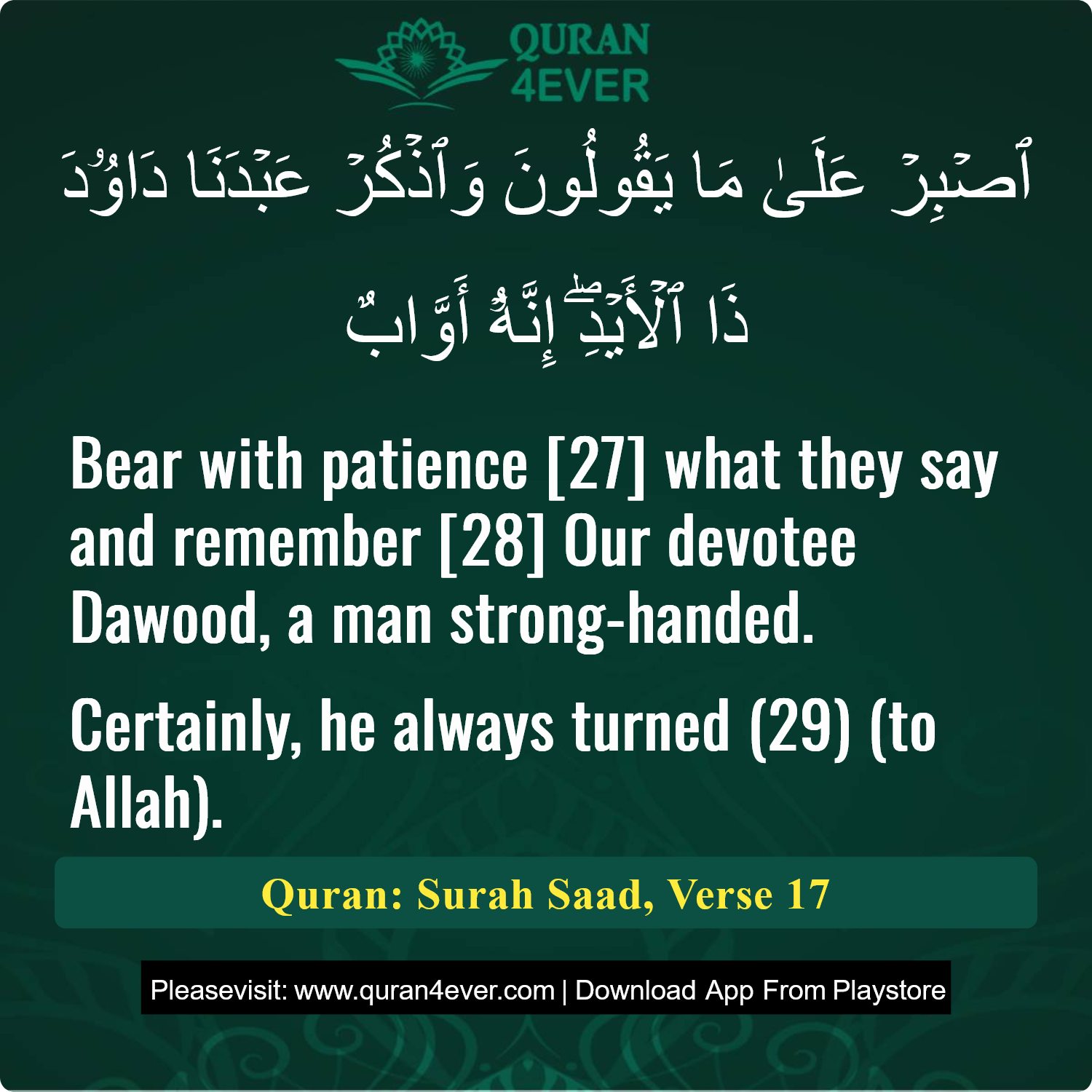 Surah 38, Ayah 17 - Quran Image