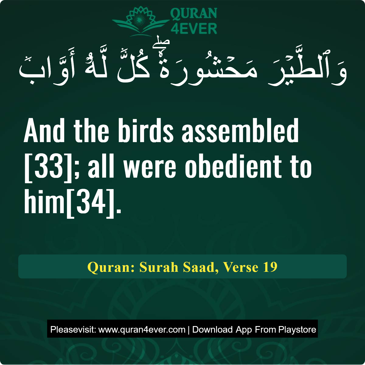 Surah 38, Ayah 19 - Quran Image