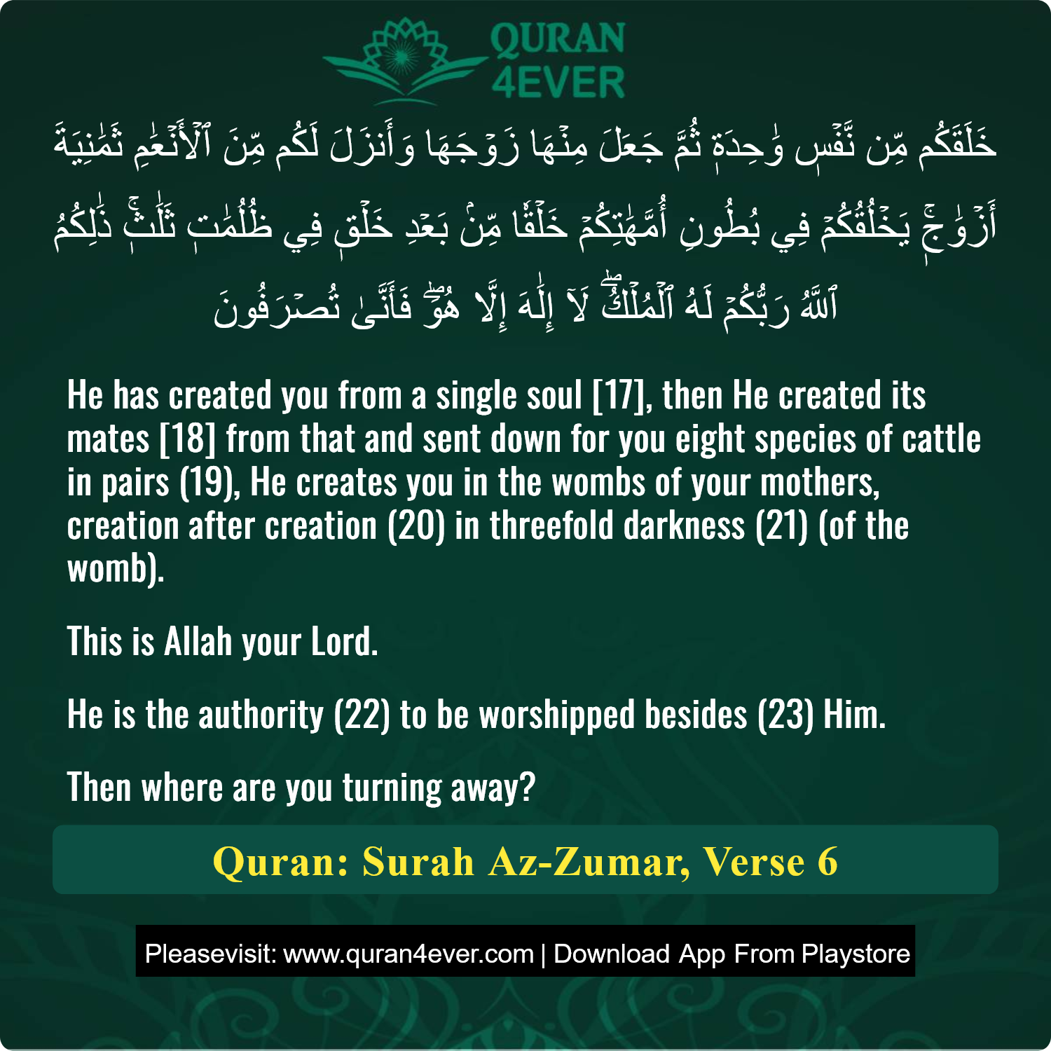 Surah 39, Ayah 6 - Quran Image