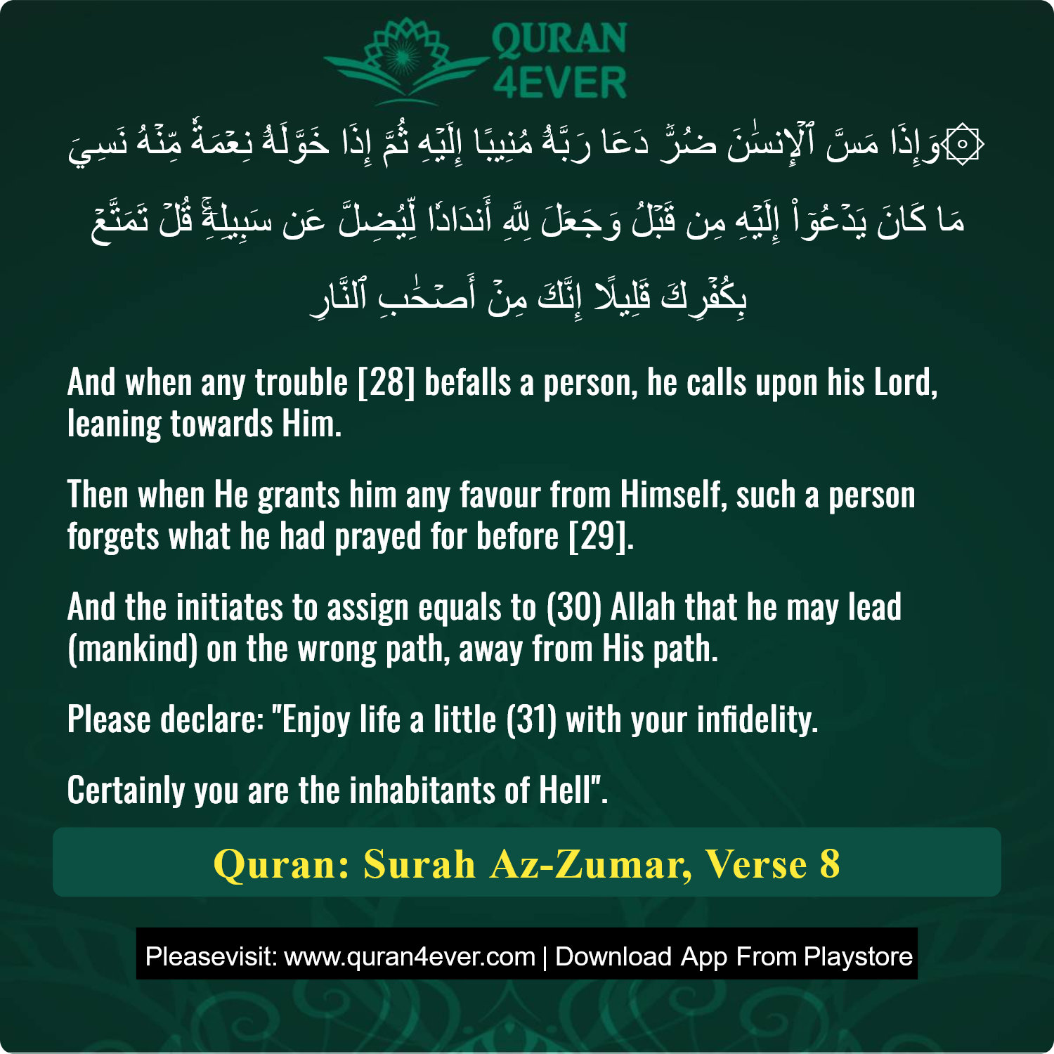 Surah 39, Ayah 8 - Quran Image