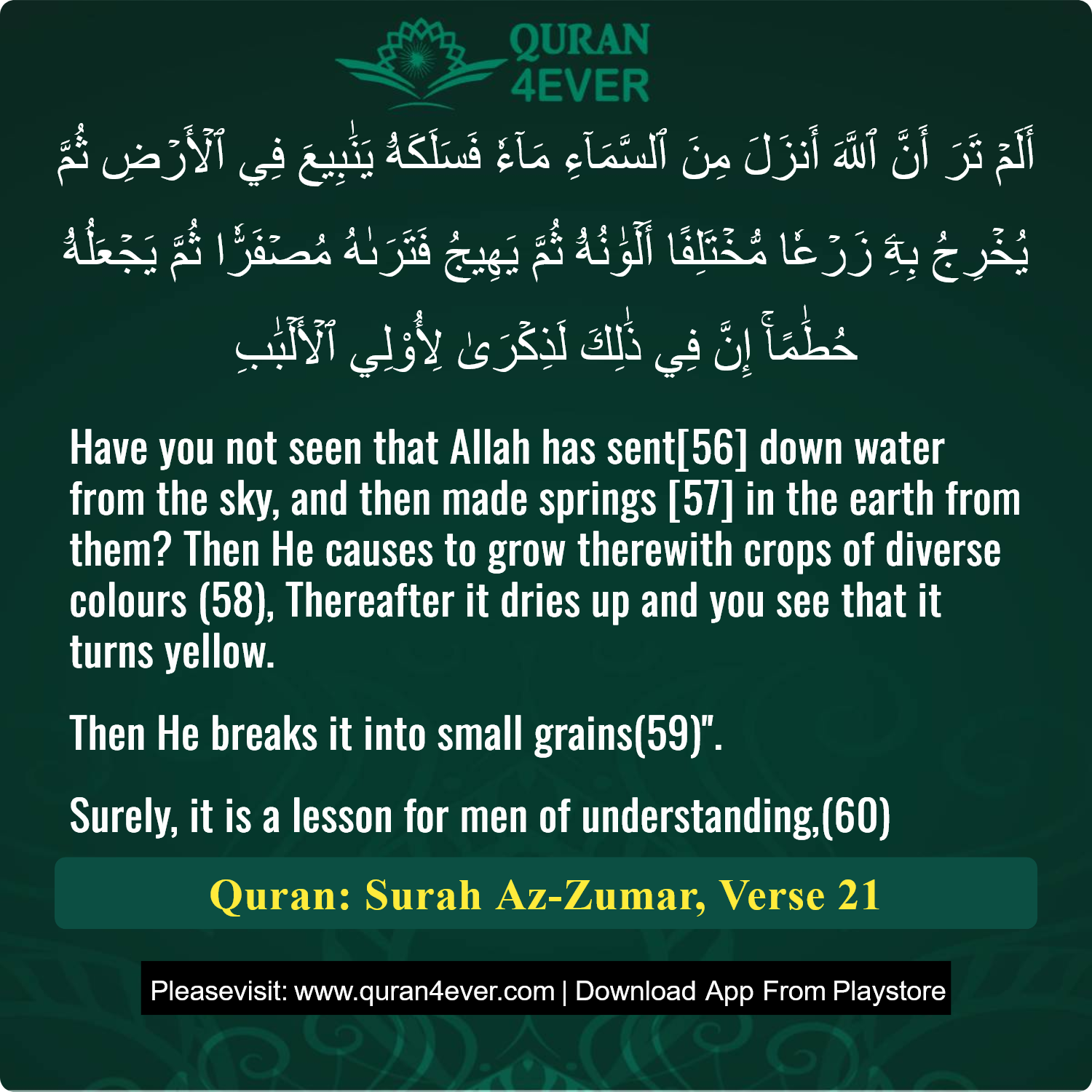 Surah 39, Ayah 21 - Quran Image