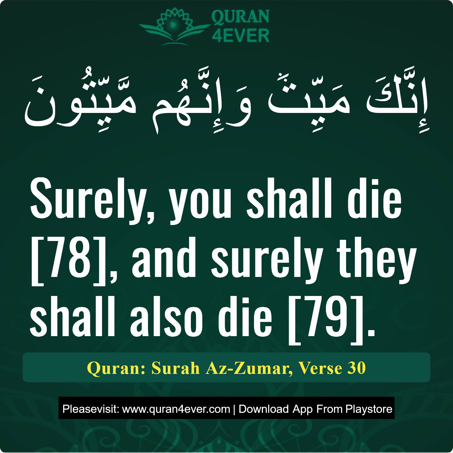 Surah 39, Ayah 30 - Quran Image
