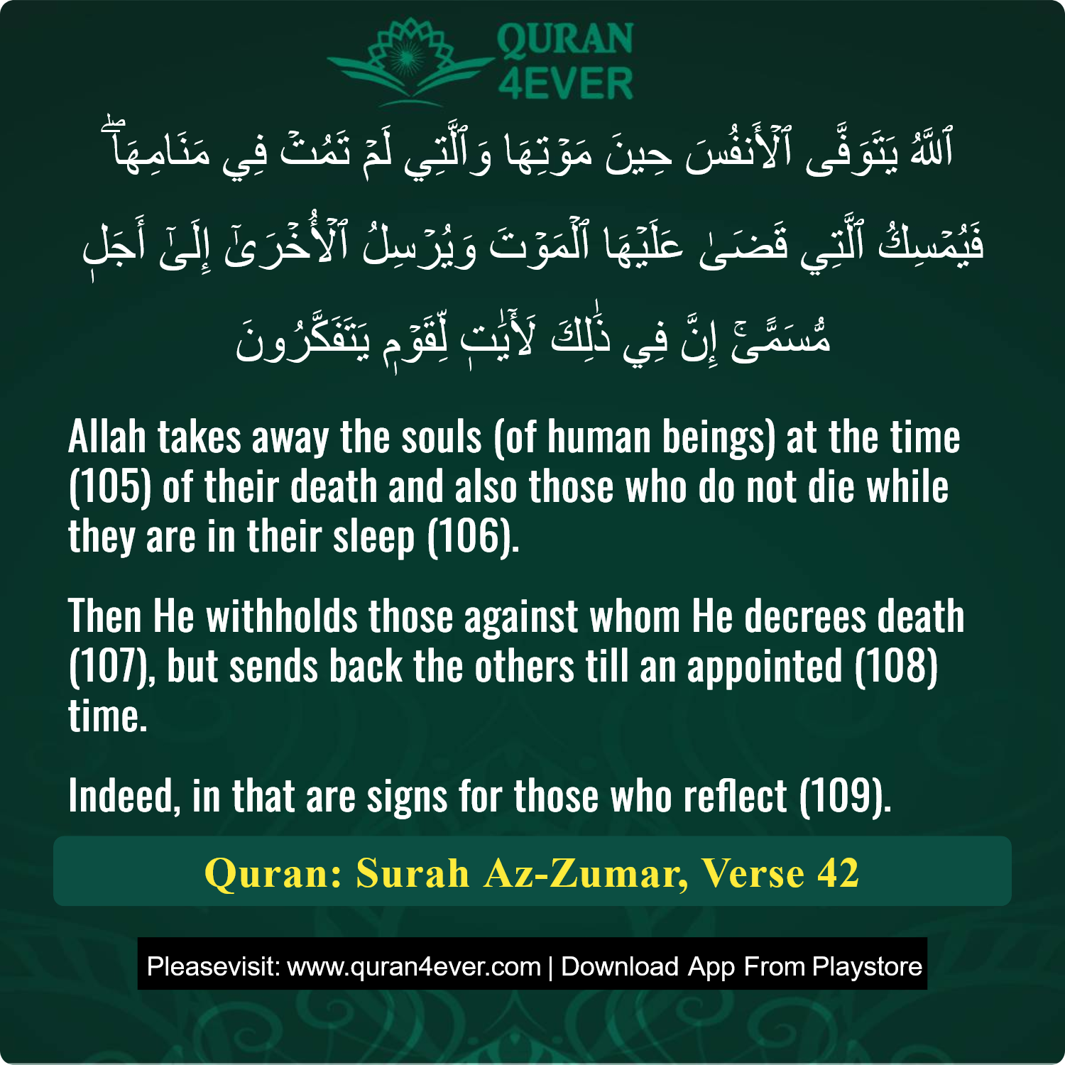 Surah 39, Ayah 42 - Quran Image