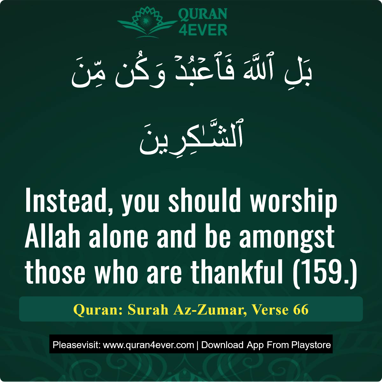 Surah 39, Ayah 66 - Quran Image