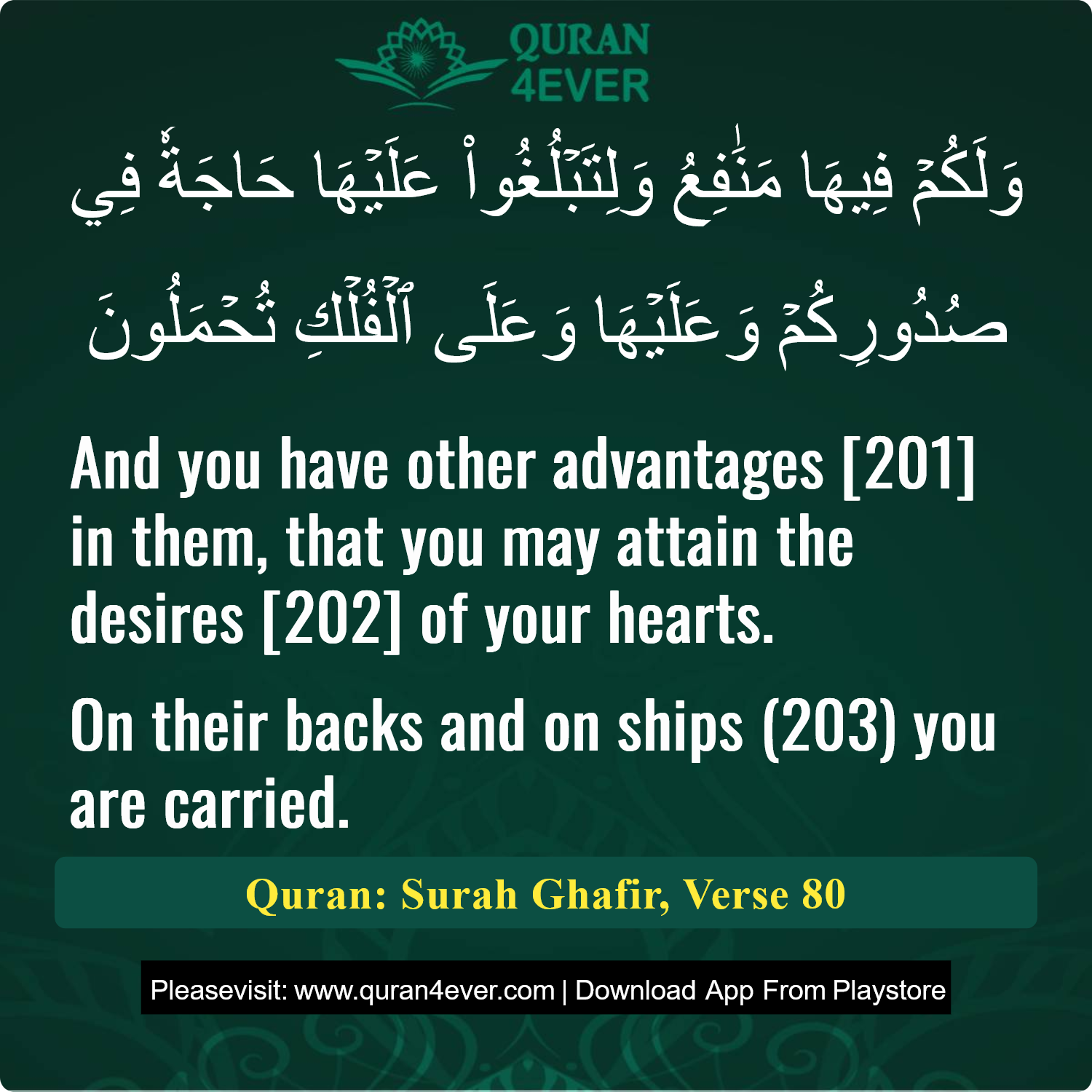 Surah 40, Ayah 80 - Quran Image