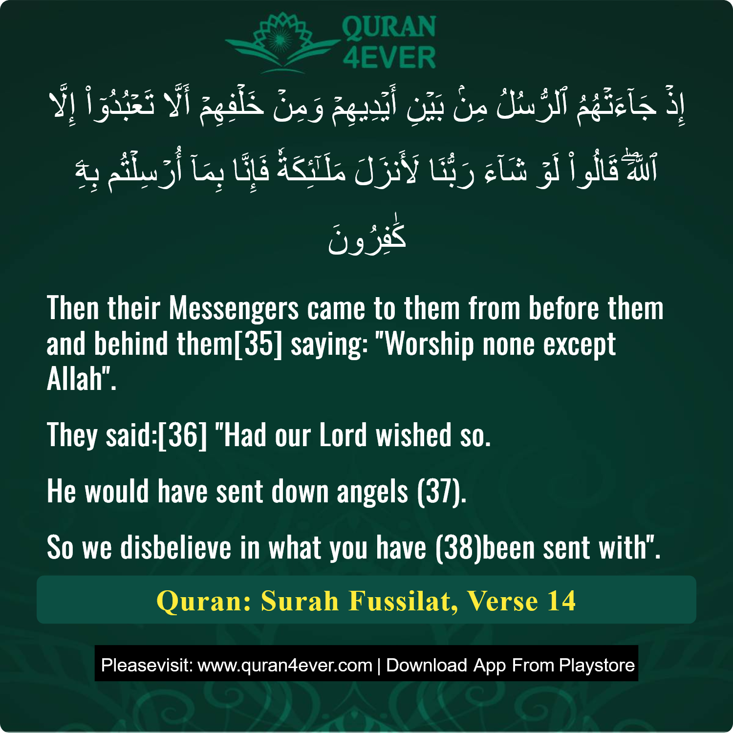 Surah 41, Ayah 14 - Quran Image
