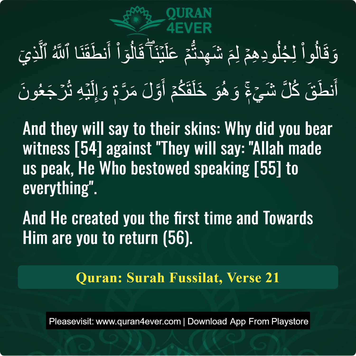 Surah 41, Ayah 21 - Quran Image