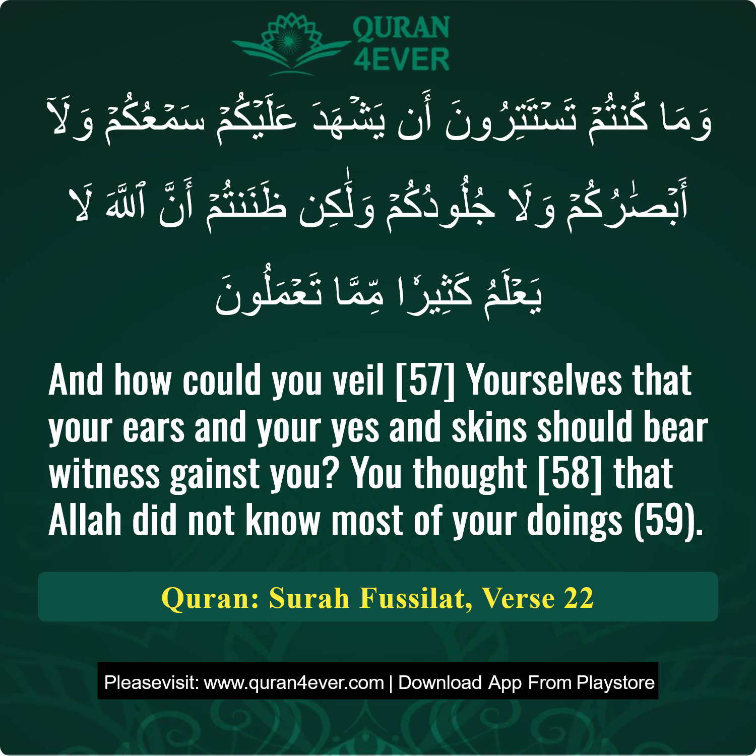 Surah 41, Ayah 22 - Quran Image