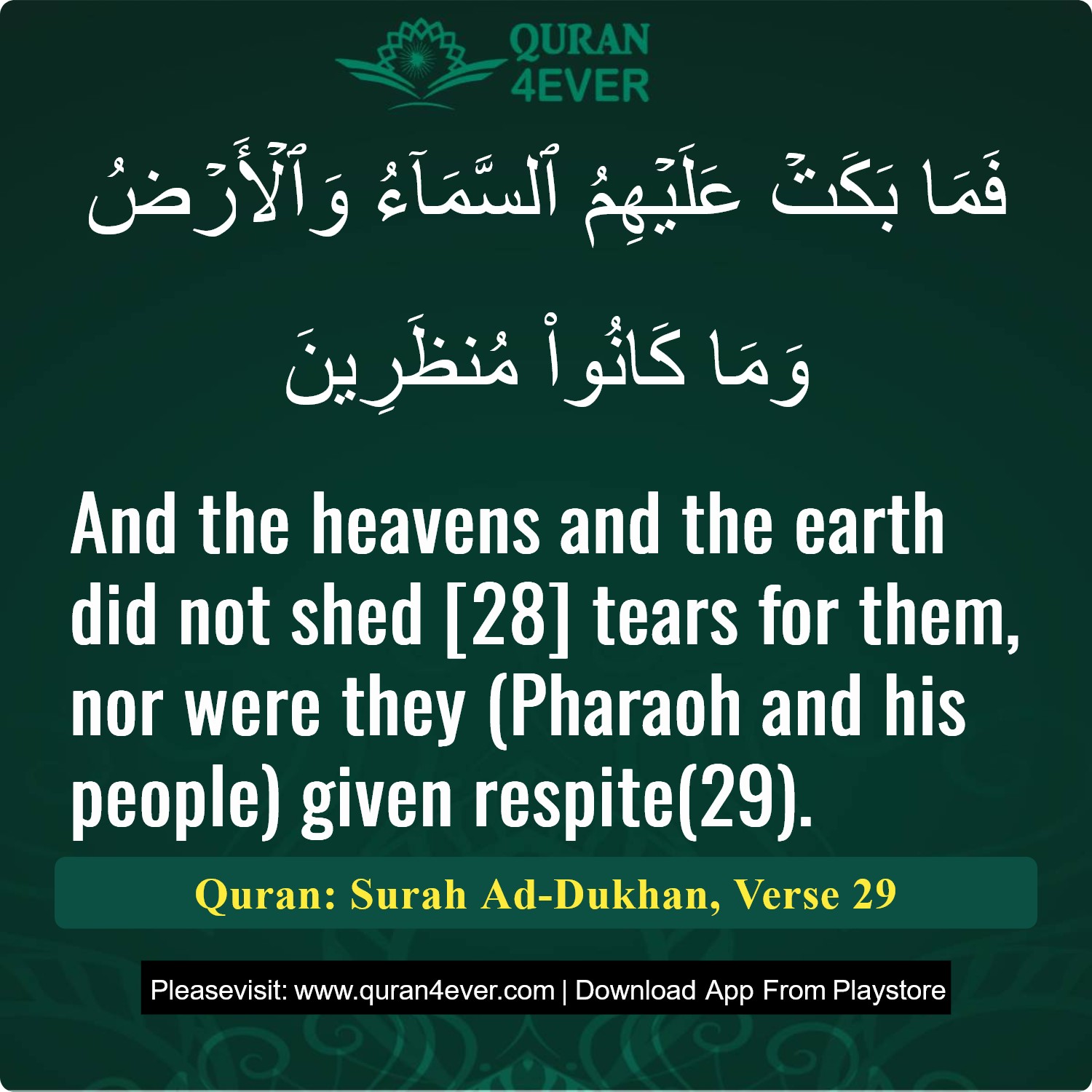 Surah 44, Ayah 29 - Quran Image