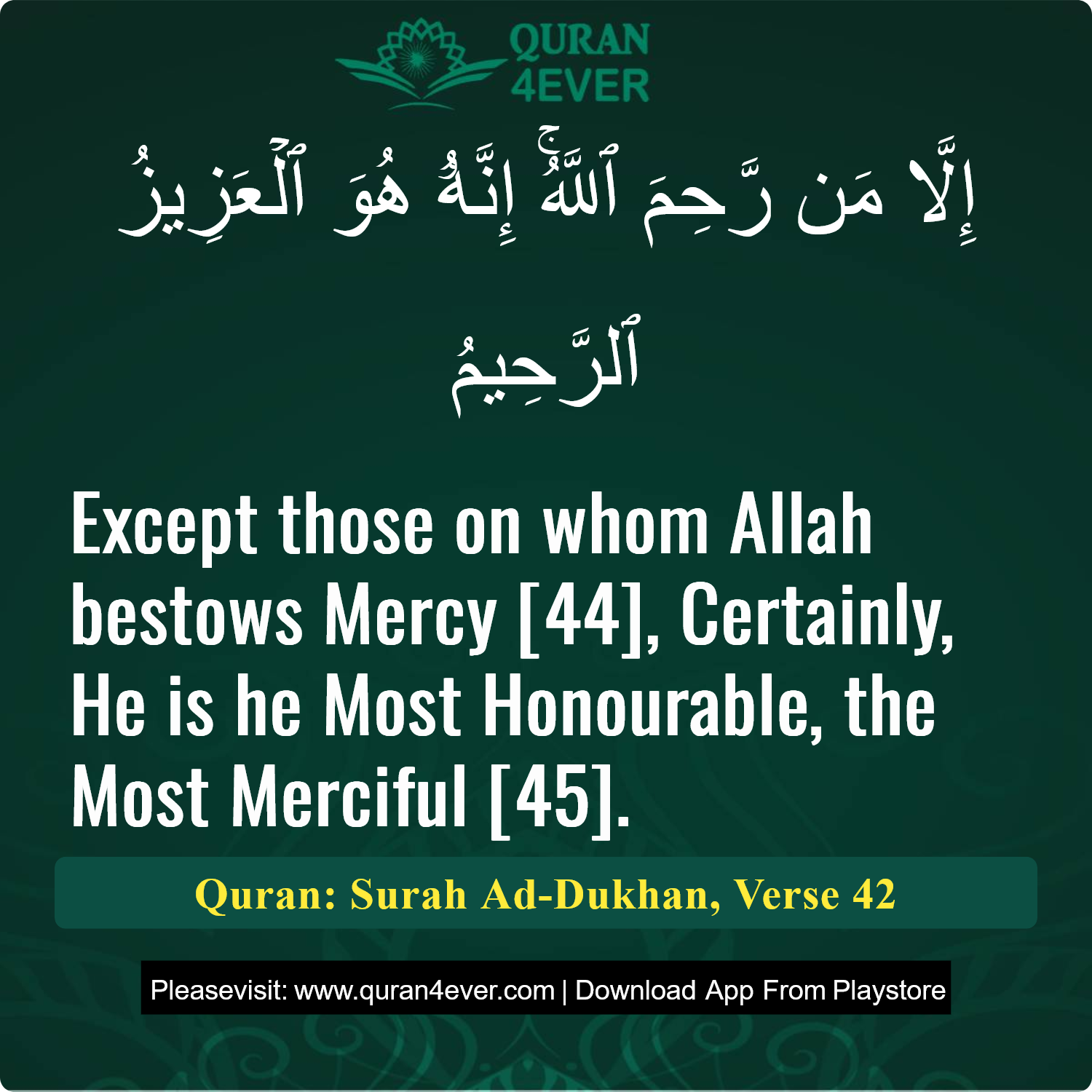 Surah 44, Ayah 42 - Quran Image