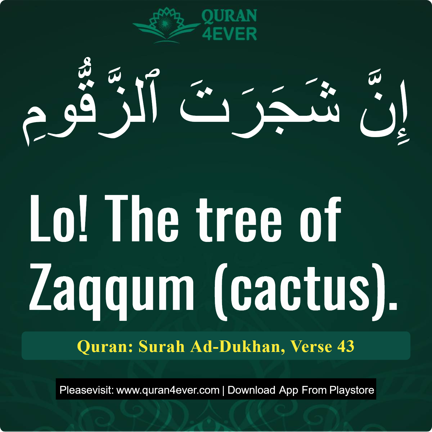Surah 44, Ayah 43 - Quran Image