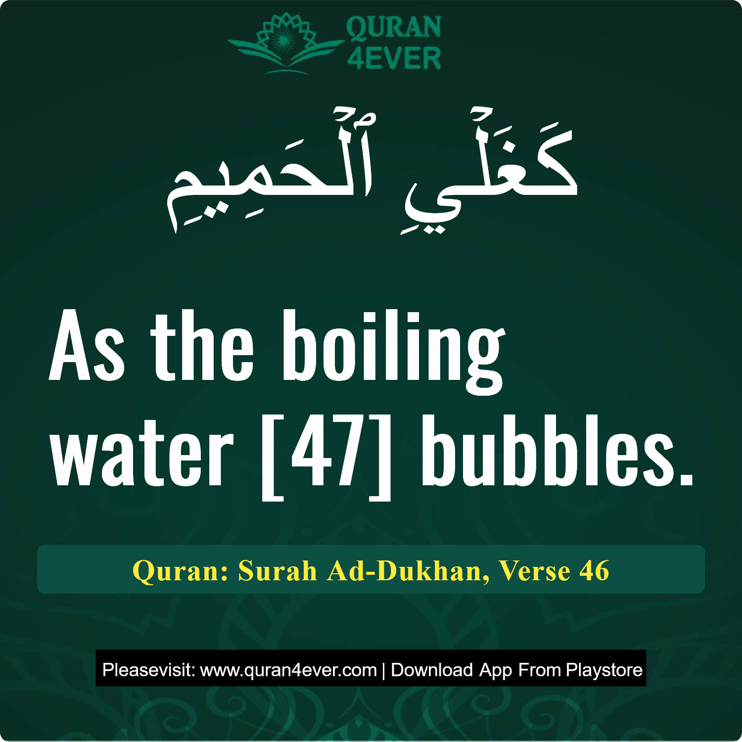 Surah 44, Ayah 46 - Quran Image