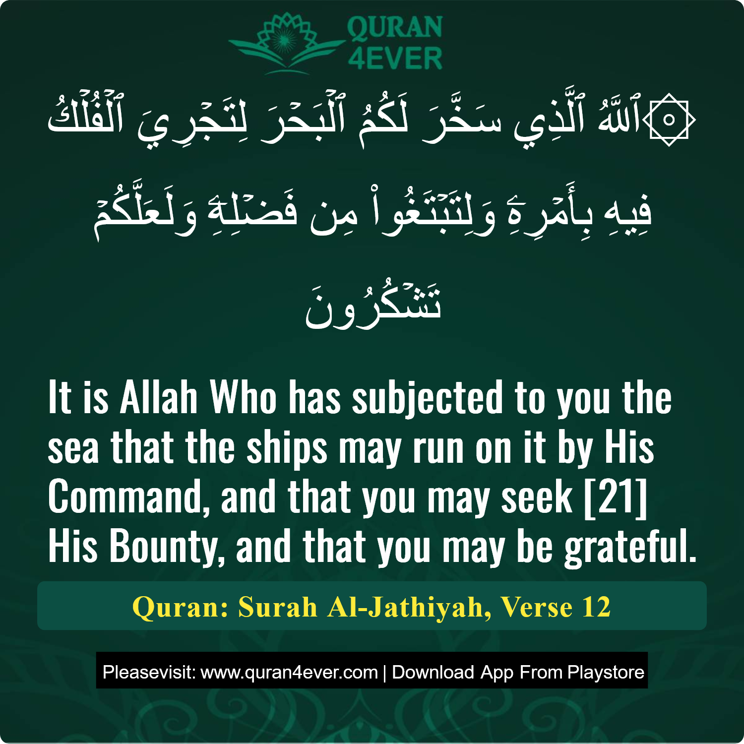 Surah 45, Ayah 12 - Quran Image