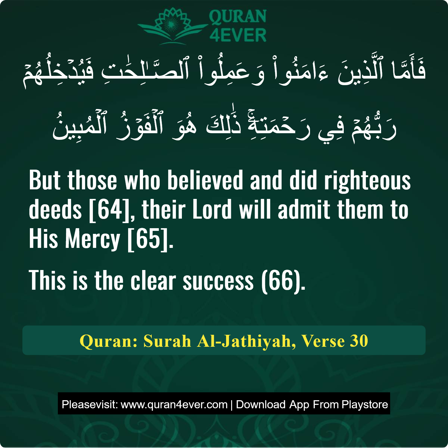 Surah 45, Ayah 30 - Quran Image