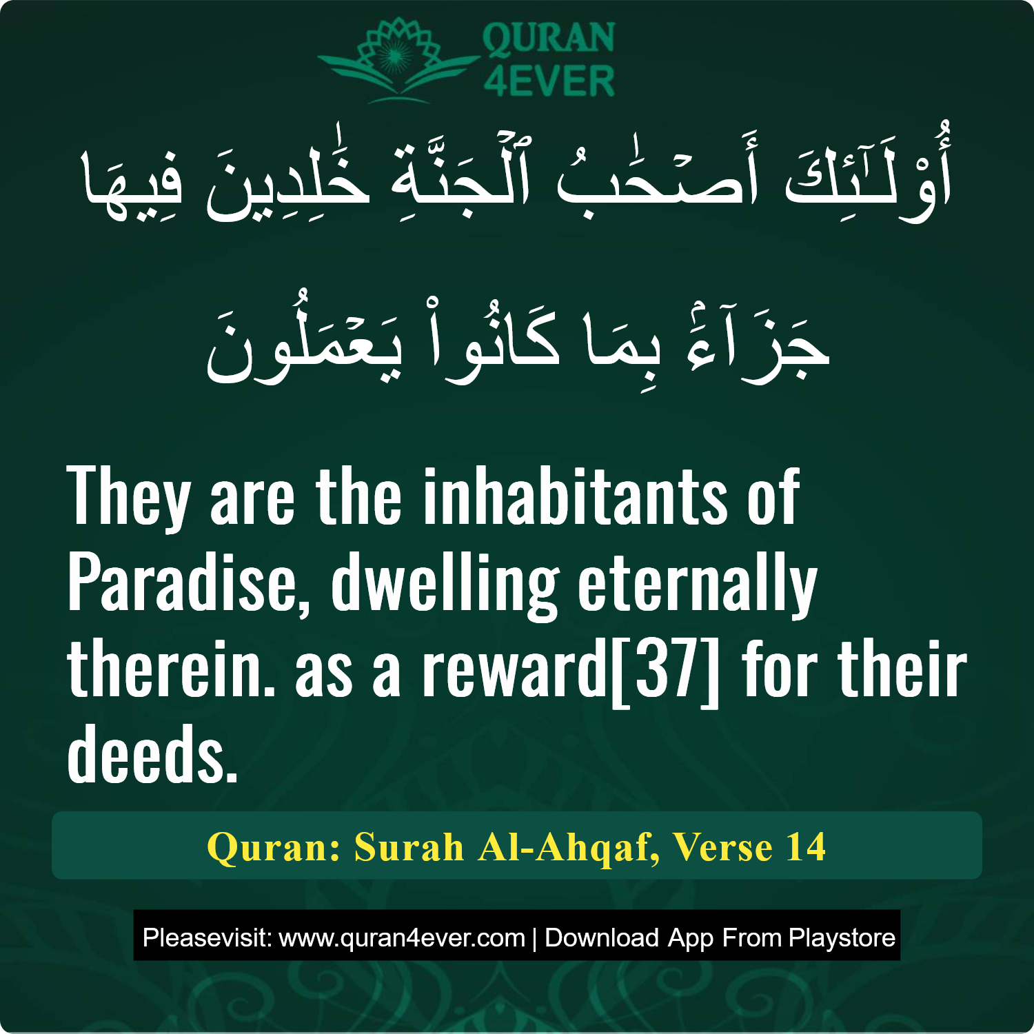 Surah 46, Ayah 14 - Quran Image