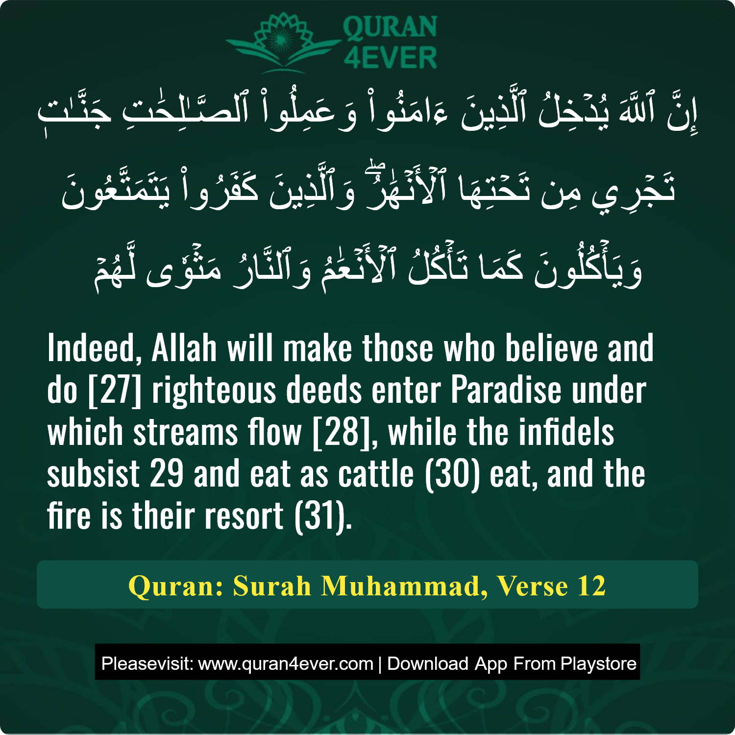 Surah 47, Ayah 12 - Quran Image